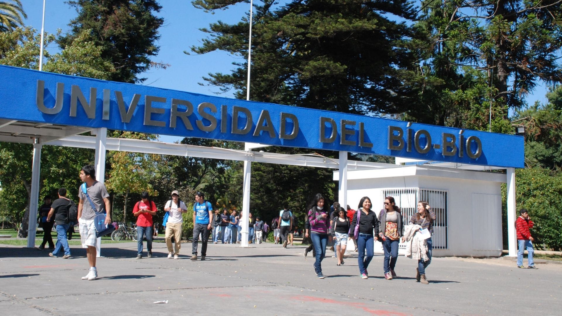 Gores podrán participar de Consejos Superiores de Universidades Estatales Regionales