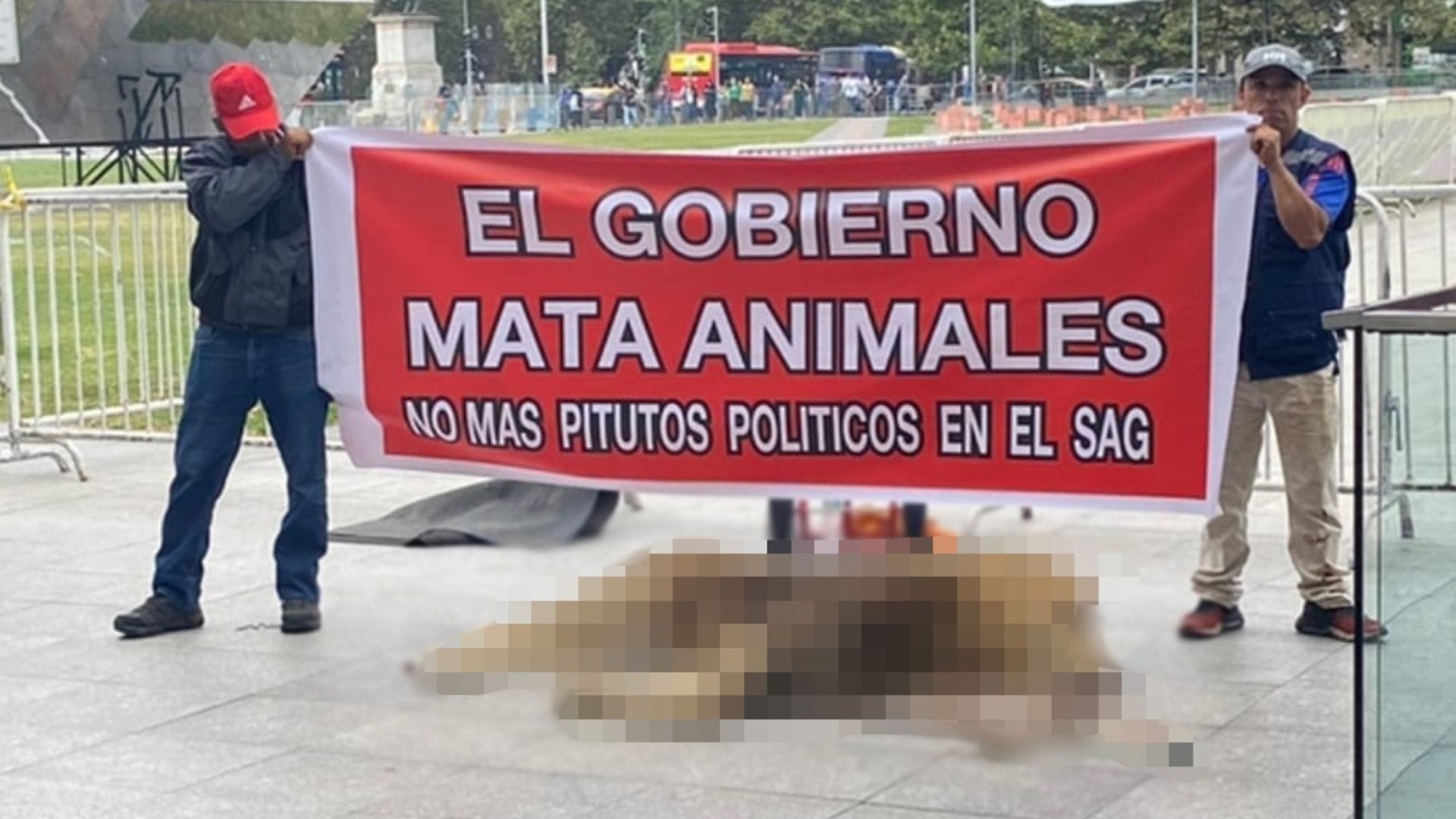 Zoológico de Los Ángeles protesta con león muerto en La Moneda: SAG anuncia posibles acciones legales