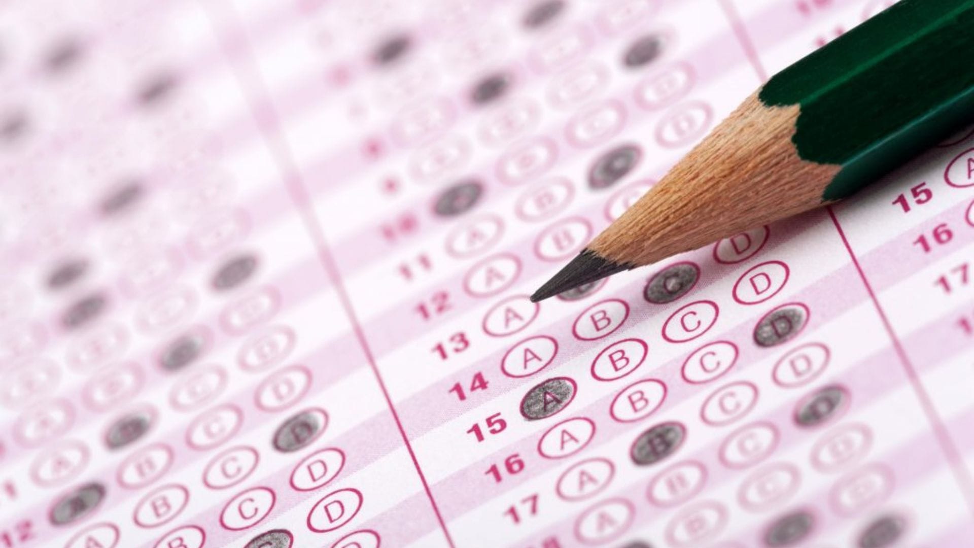 Comenzó postulación a la educación superior: Revisa aquí tus resultados PAES y fechas importantes
