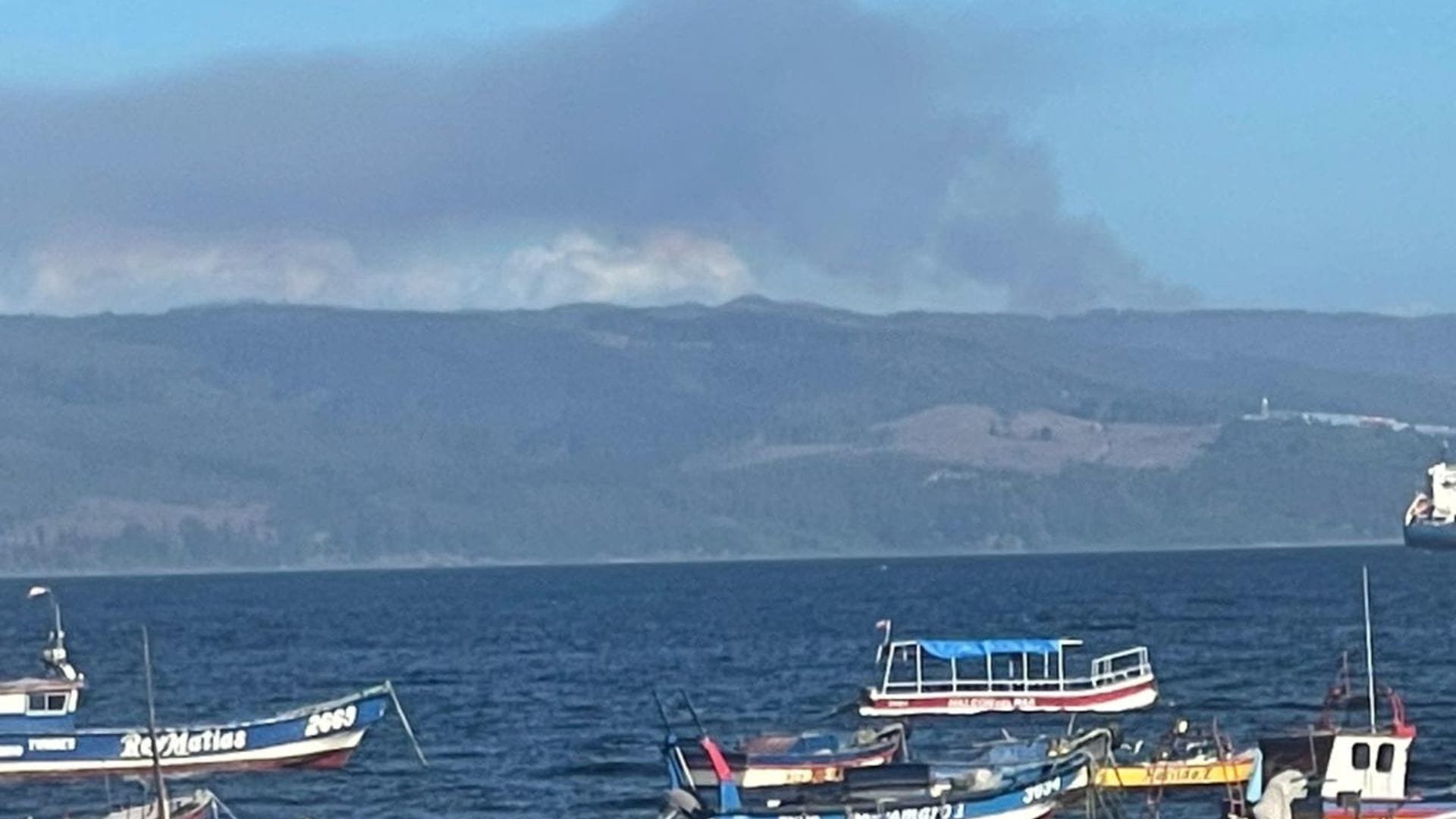 Declaran Alerta Roja en Penco por incendio forestal: Hay viviendas amenazadas