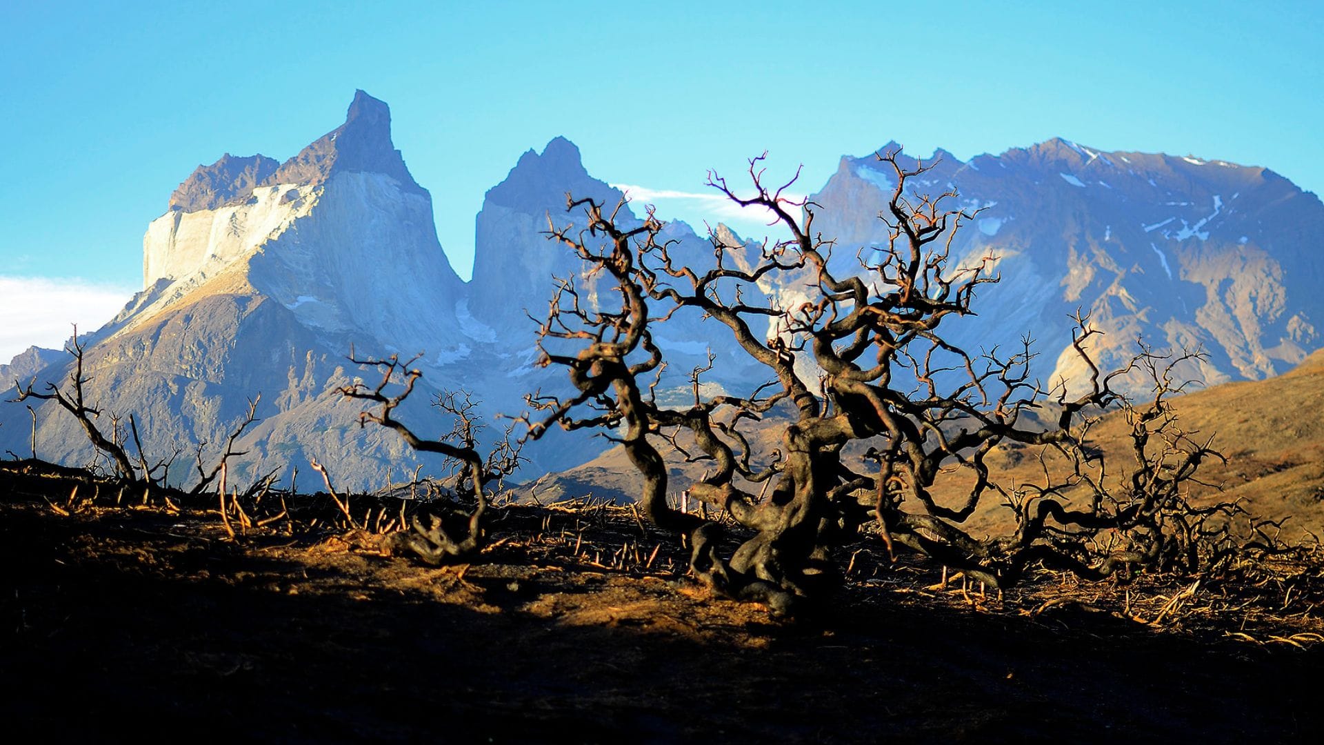 Grave sequía en Magallanes obliga a declarar emergencia agrícola por primera vez en su historia