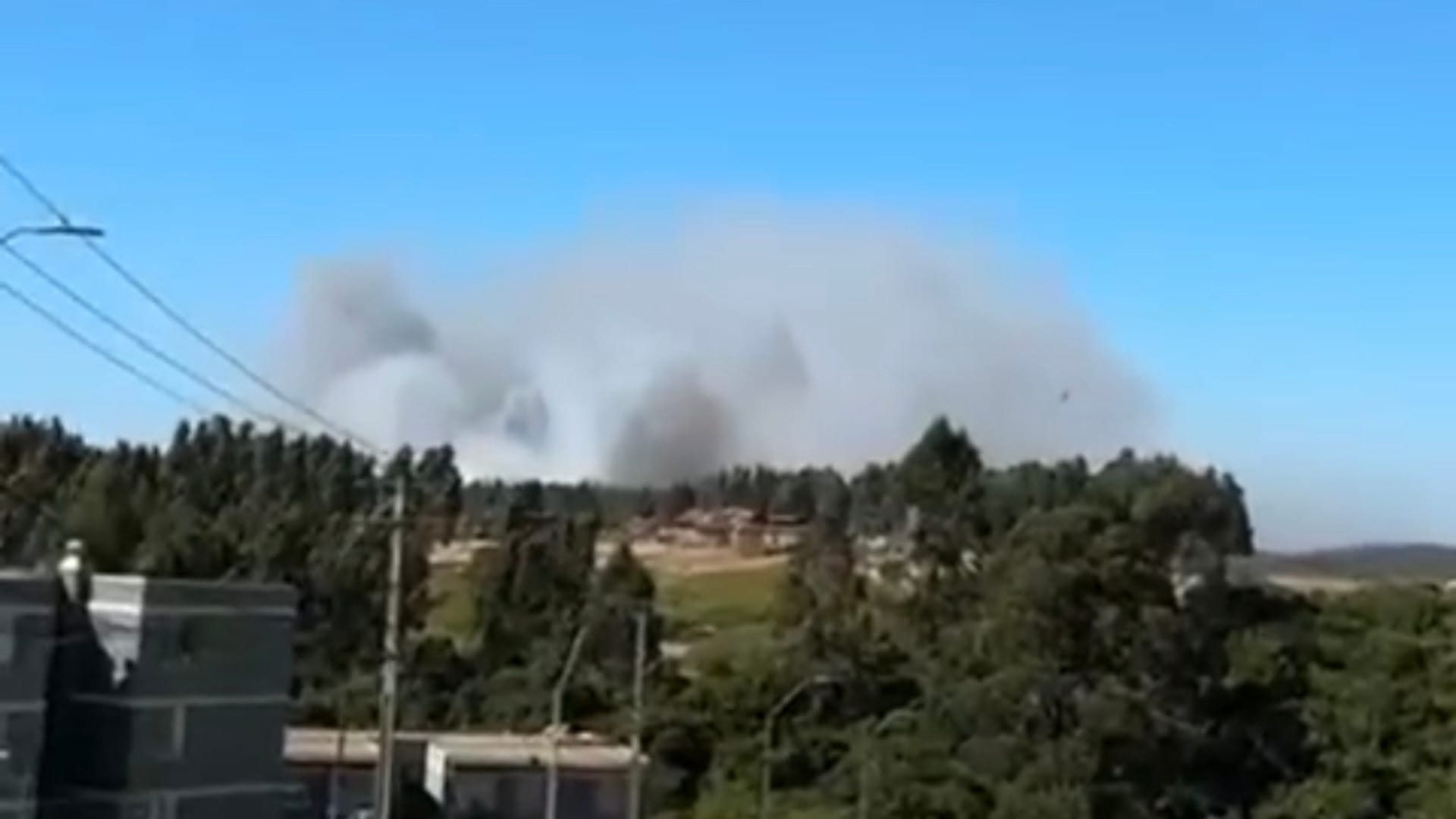 Declaran Alerta Roja en Talcahuano por incendio forestal