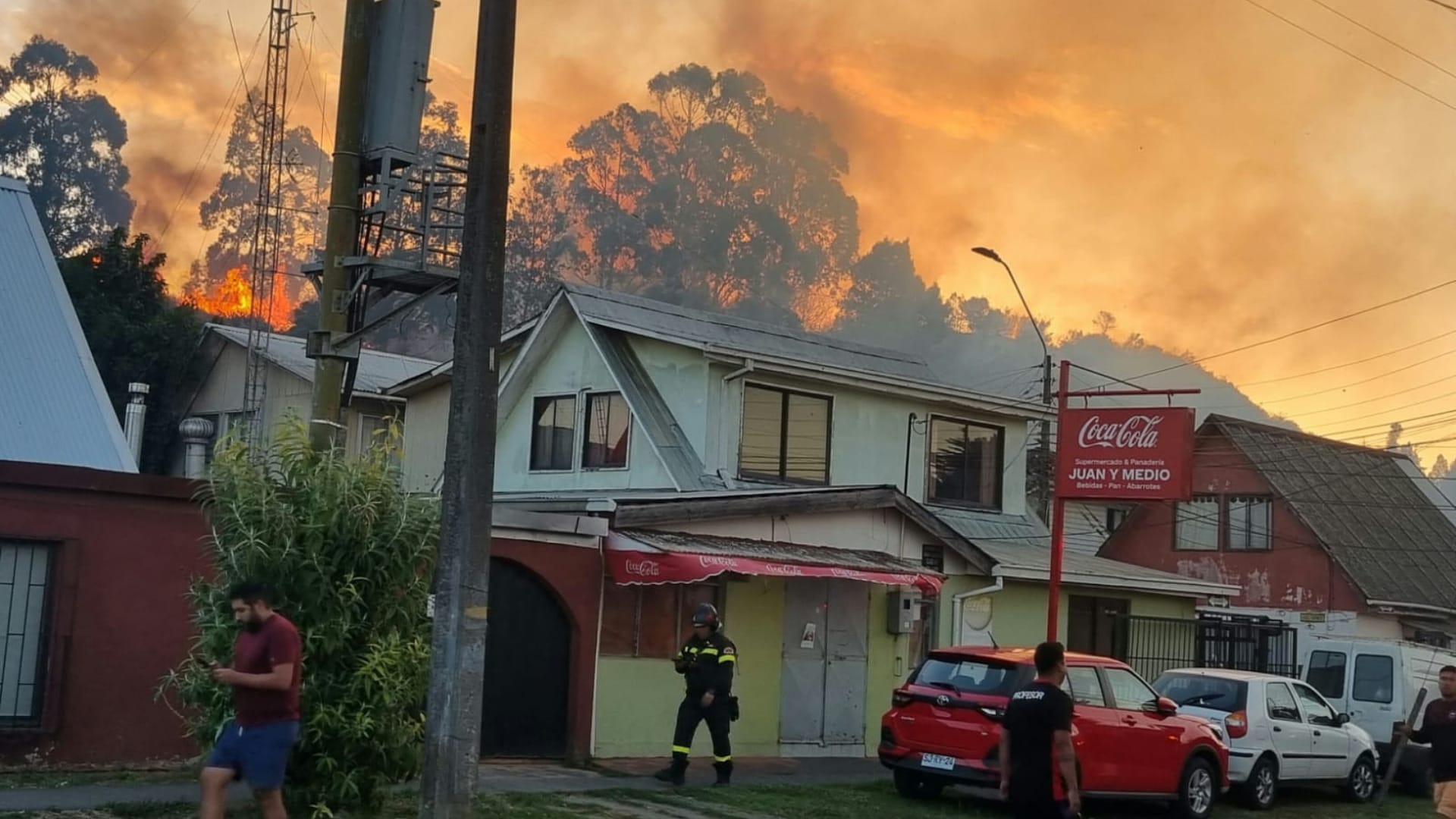 Incendio forestal afecta a cerro de Villa Ensenada en Talcahuano
