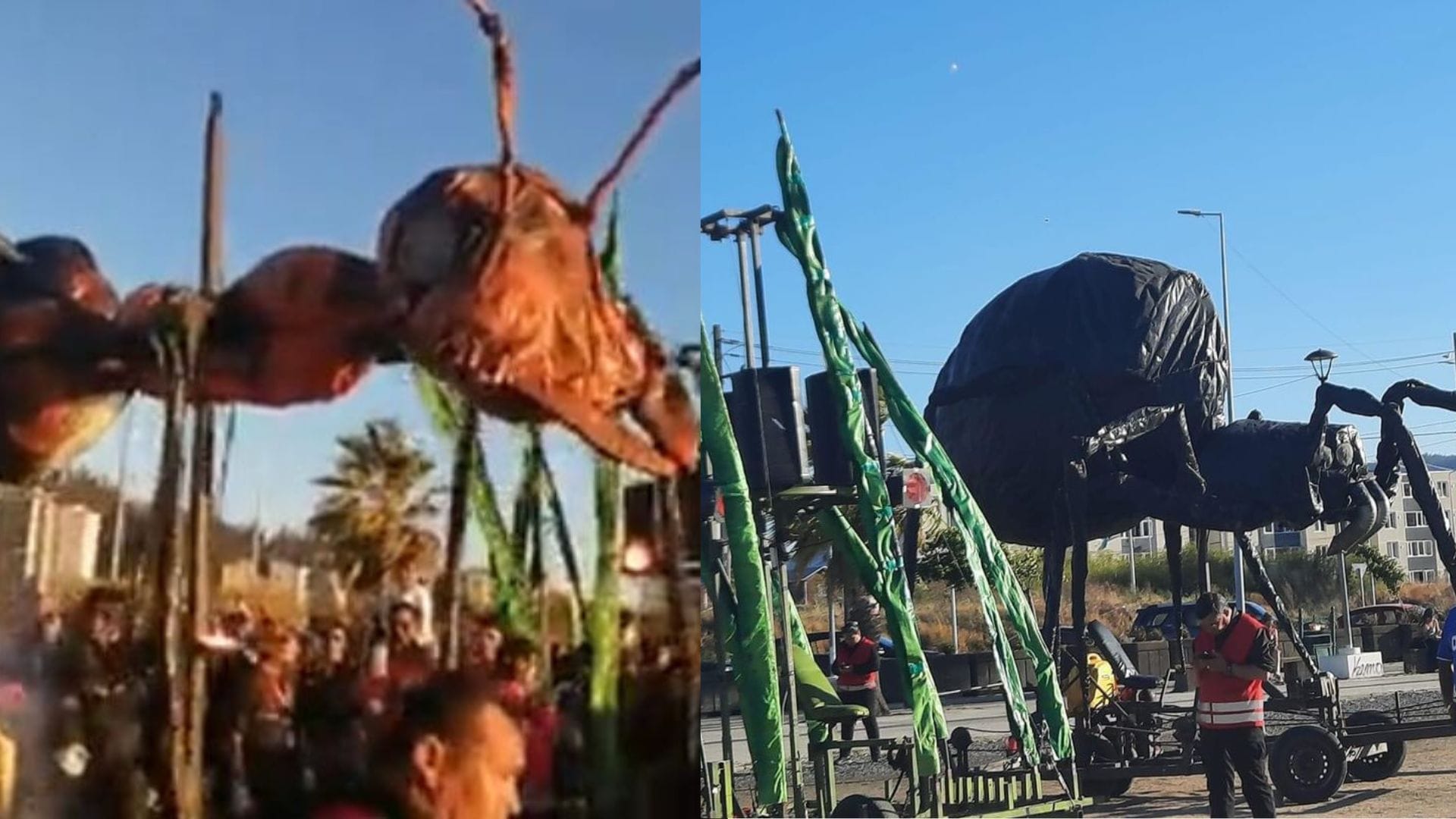 Insectes: La muestra de insectos gigantes que invadió el Parque Bicentenario de Concepción