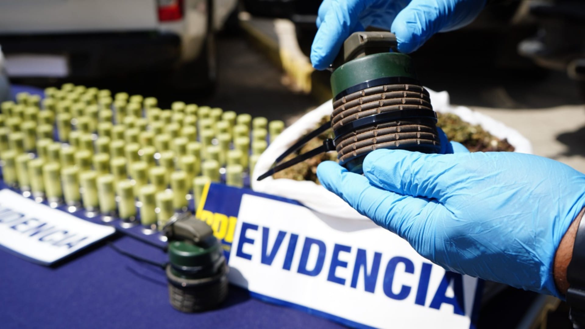 Incautan granadas, 26 mil plantas y 876 kilos de cannabis en narcocultivos de Los Vilos