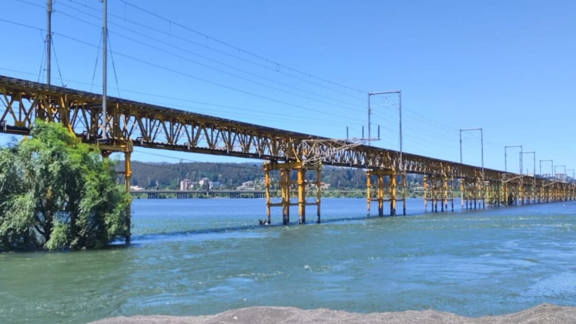 Hasta abril se mantendrá cerrado Puente Ferroviario: Se detectaron daños en 4 cepas