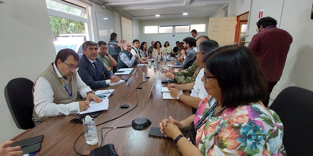 Conforman mesa técnica ante eventual ingreso de Influenza Aviar en el Biobío