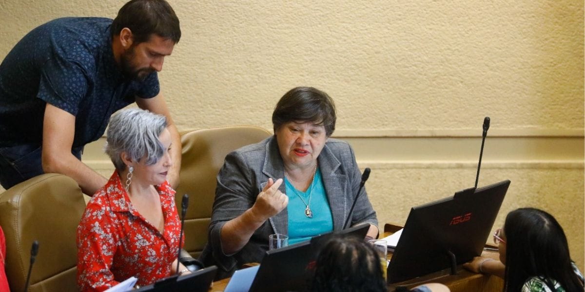 Diputada Acevedo ofició a la Armada tras volcamiento de la barcaza en el Golfo de Arauco