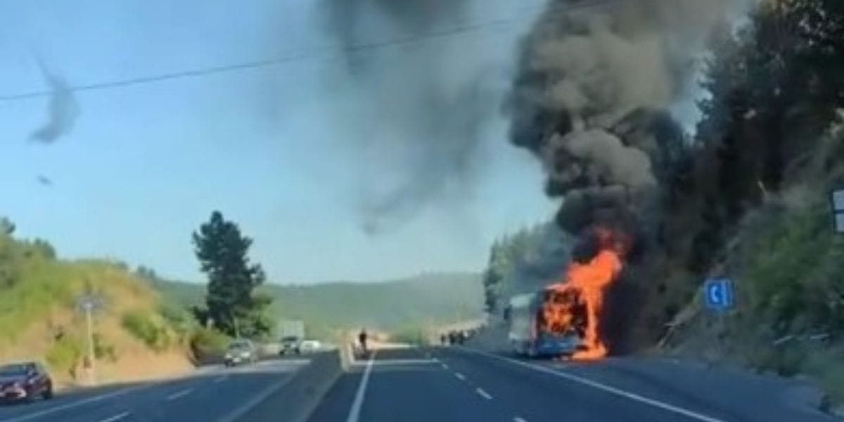 Reportan incendio en bus que transitaba por carretera del Biobío