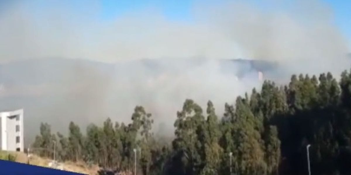 Declaran Alerta Roja para San Pedro de la Paz por incendio: Fuego estaría llegando a viviendas