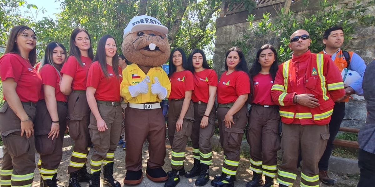 Conaf anuncia “Botón rojo” para cierre temporal de aéreas silvestres protegidas ante amenaza de incendios
