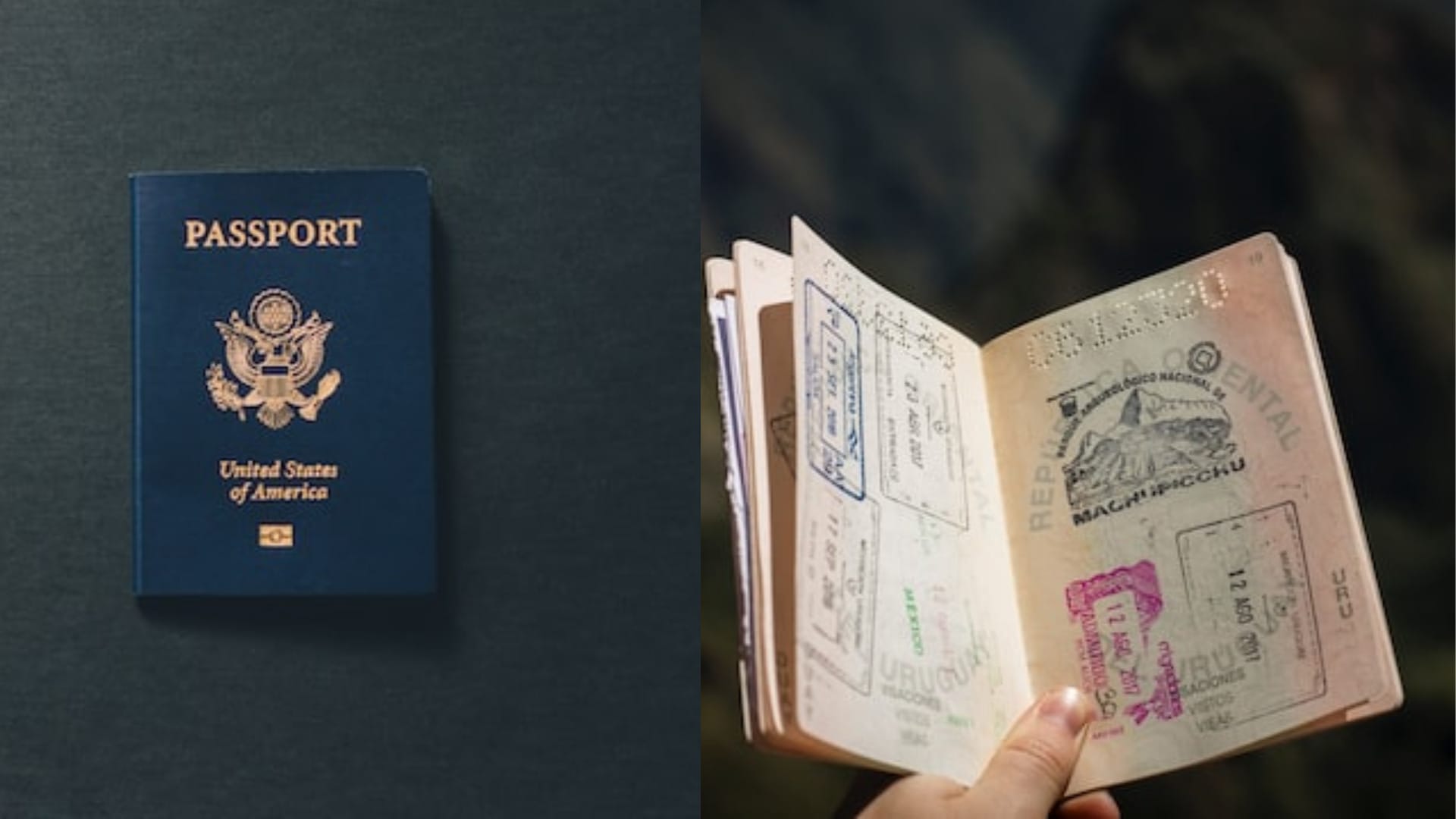 ¿Por qué es buena idea postularse a una visa Working Holiday con destino en Francia?