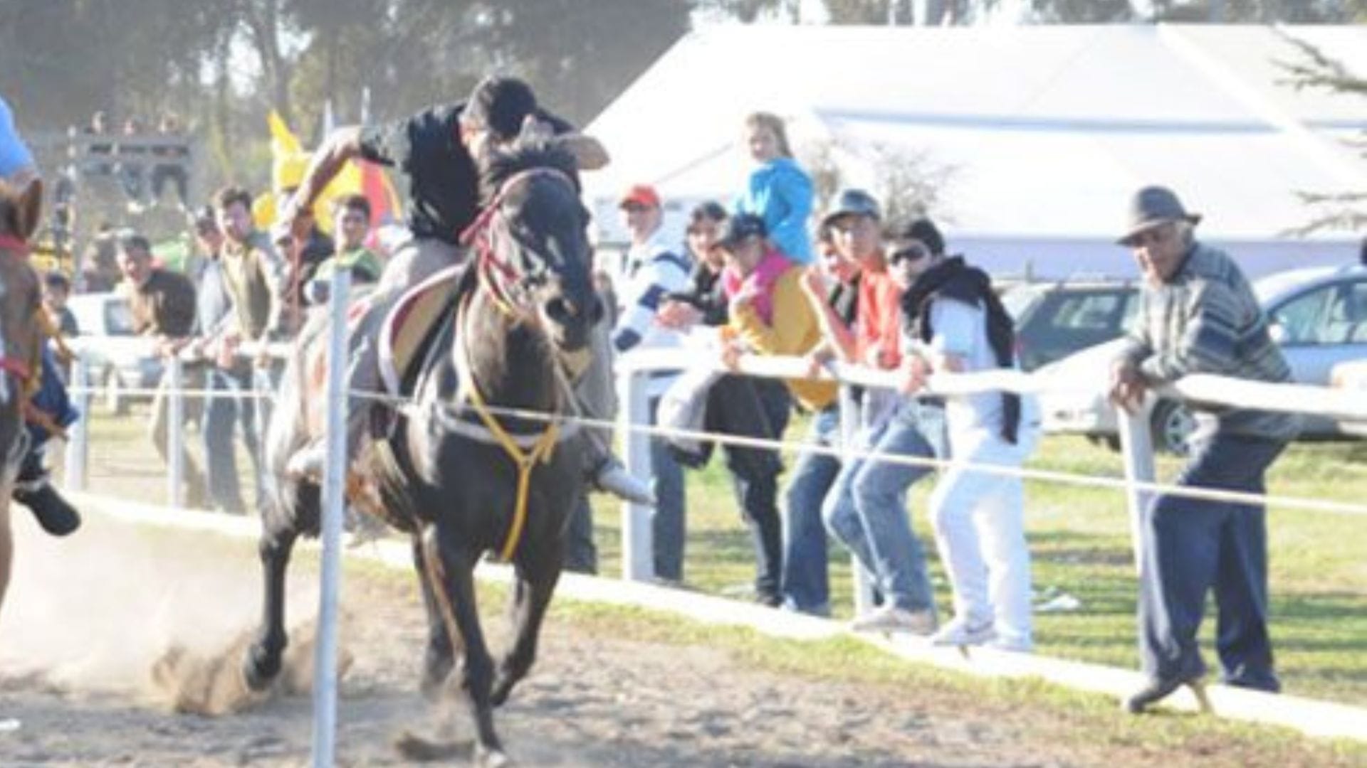 Yegua mata a hombre que la “chicoteaba” mientras se preparaban para una carrera a la chilena