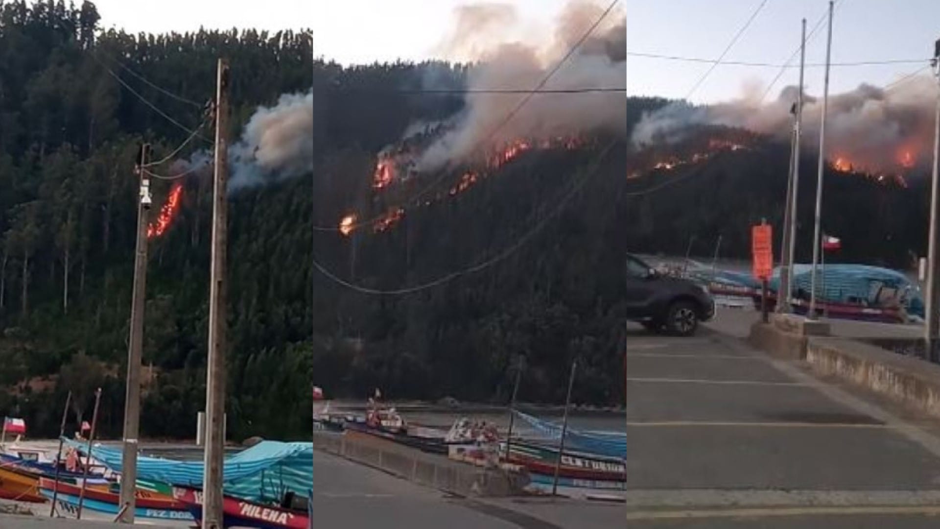 Vecinos de Llico denuncian que falla en tendido eléctrico habría originado incendio forestal