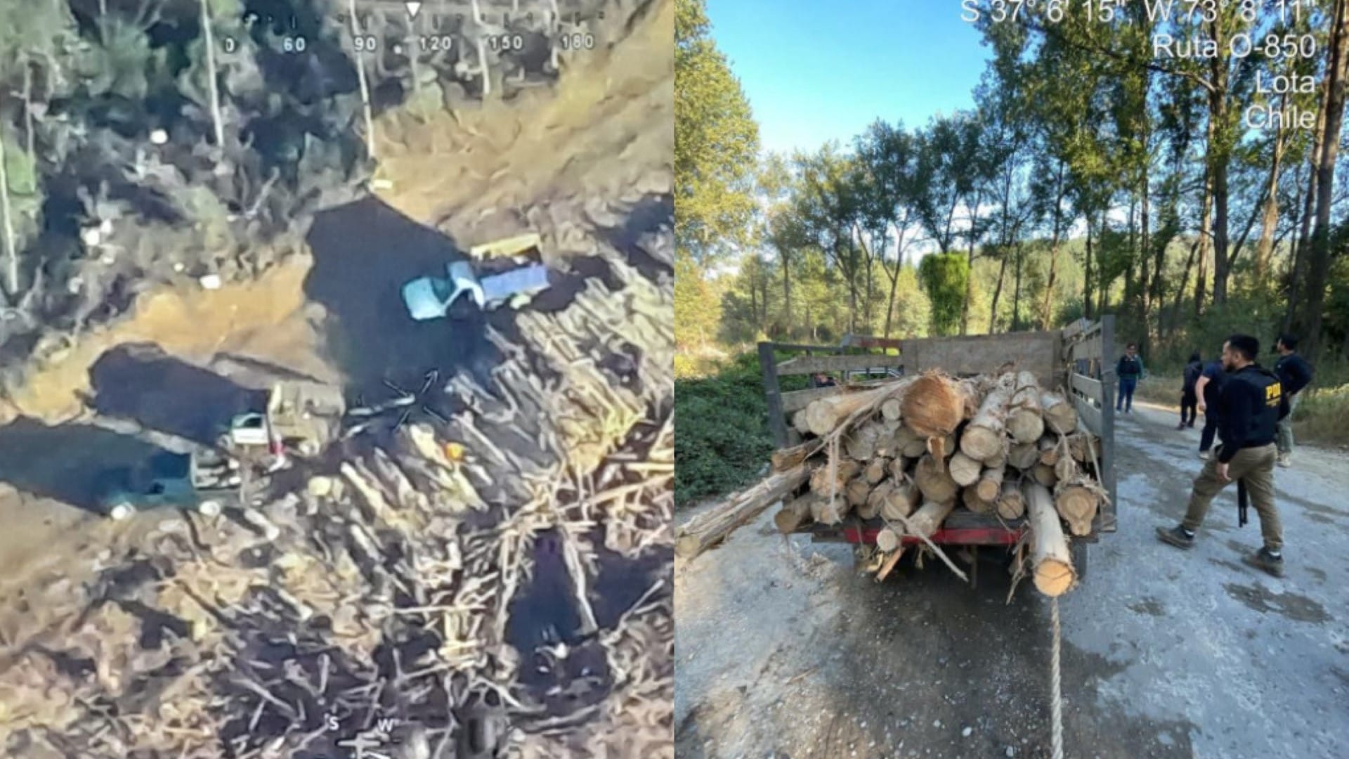 Aprovecharon estado de catástrofe para robar gran cantidad de madera en Lota: 10 detenidos