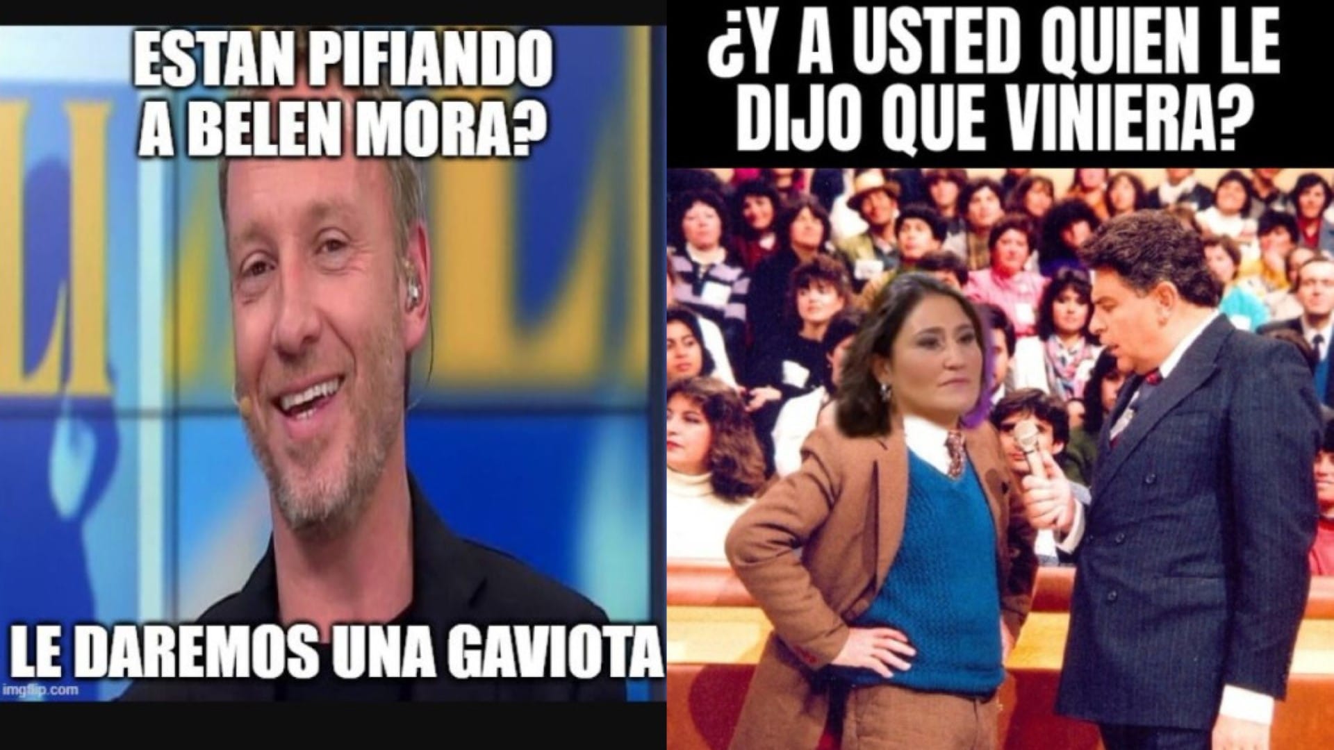 “¡Martín deja de regalar gaviotas!”: Los memes que hacen festín con show de Belén Mora en Viña