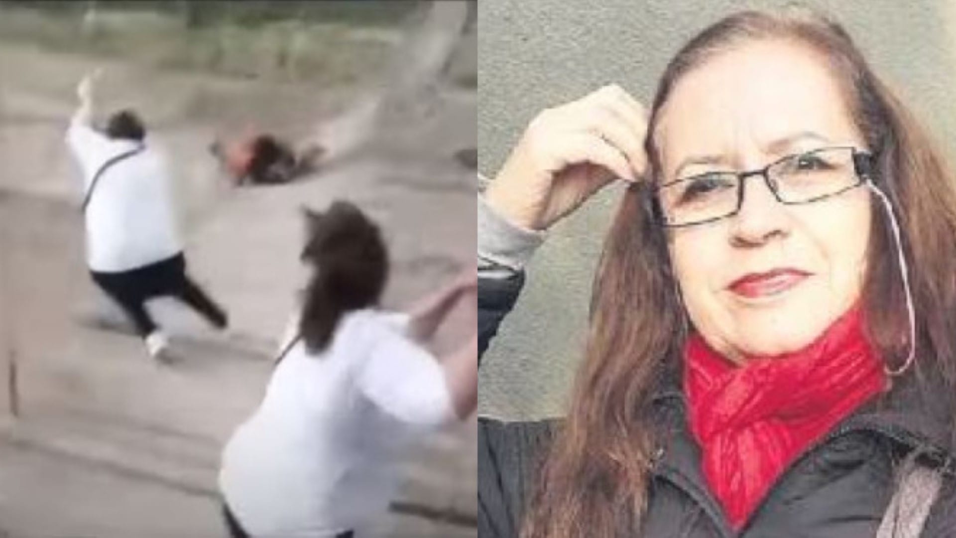 Turista chilena en riesgo vital tras caer desde un puente colgante en Bolivia