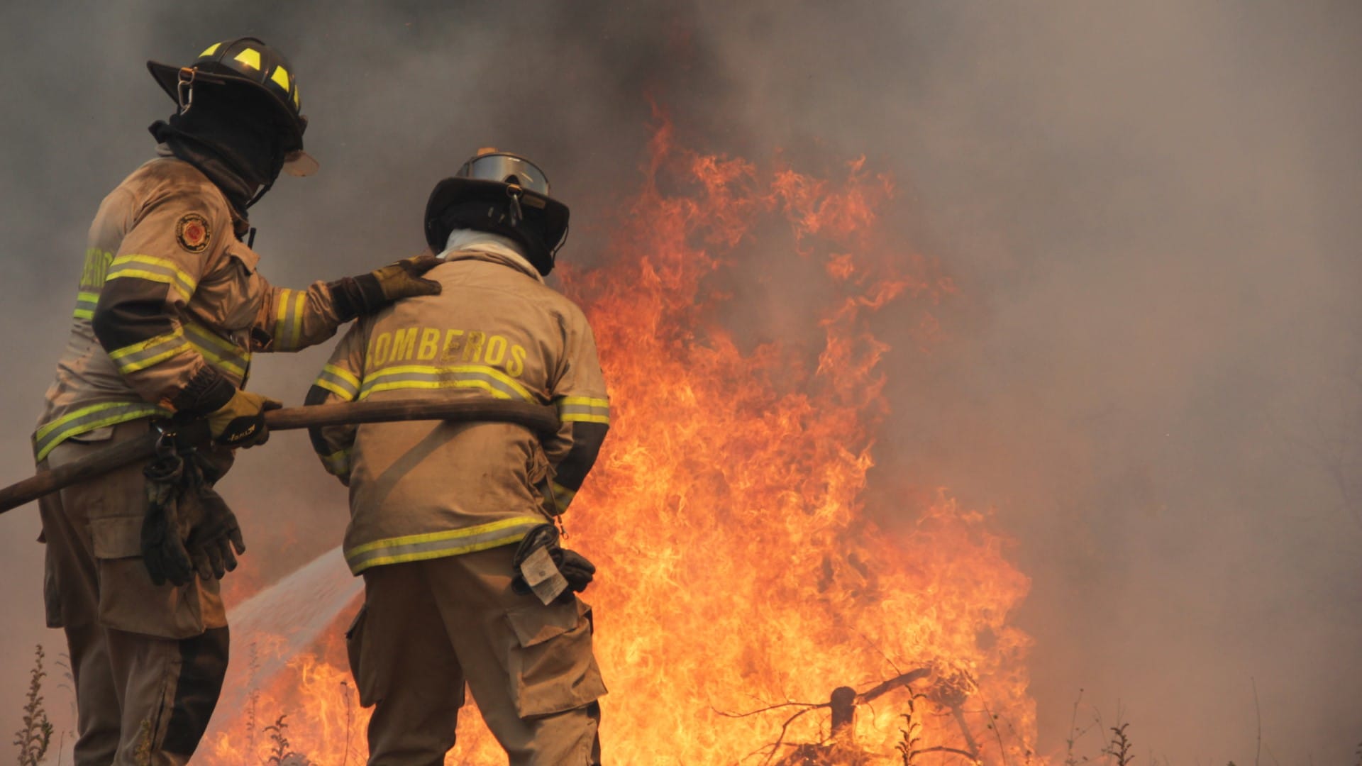 Combate de incendio forestal en cerro La U de Talcahuano dejó cinco bomberos lesionados