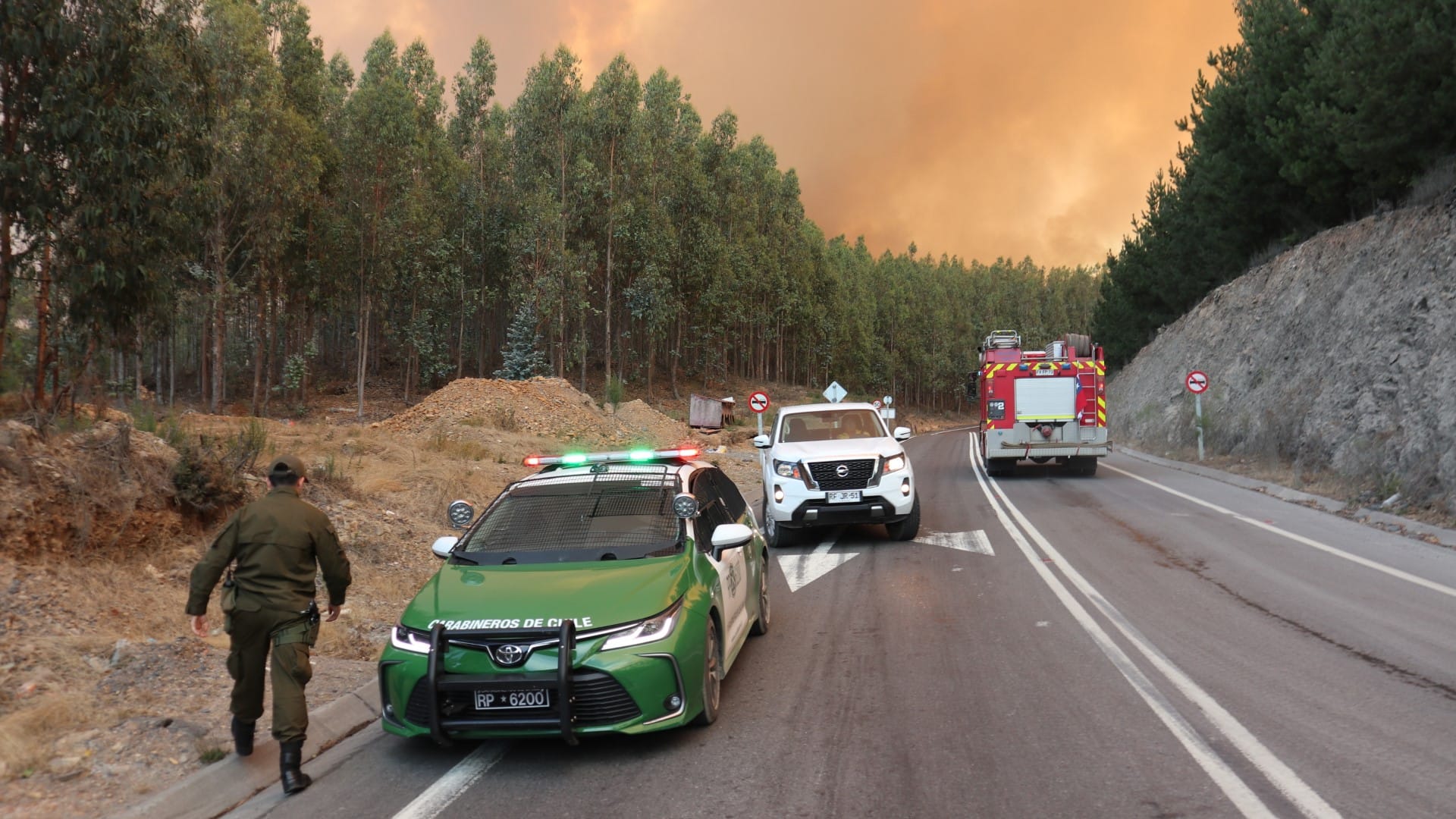 Investigan 9 grandes incendios que afectaron a Región del Biobío: Fiscalía creó equipo especial