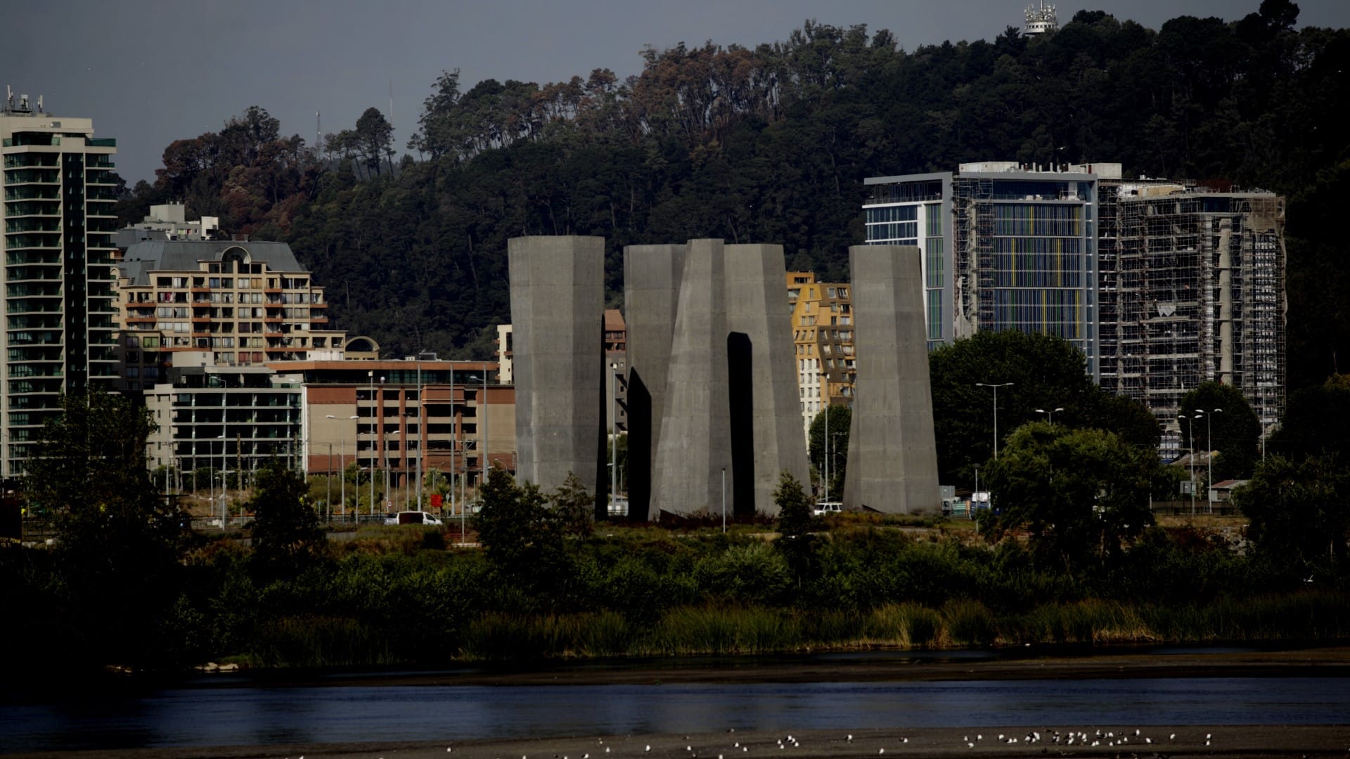 Concepción: Sorprenden a hombre quemando más de 50 metros de pastizales con combustible