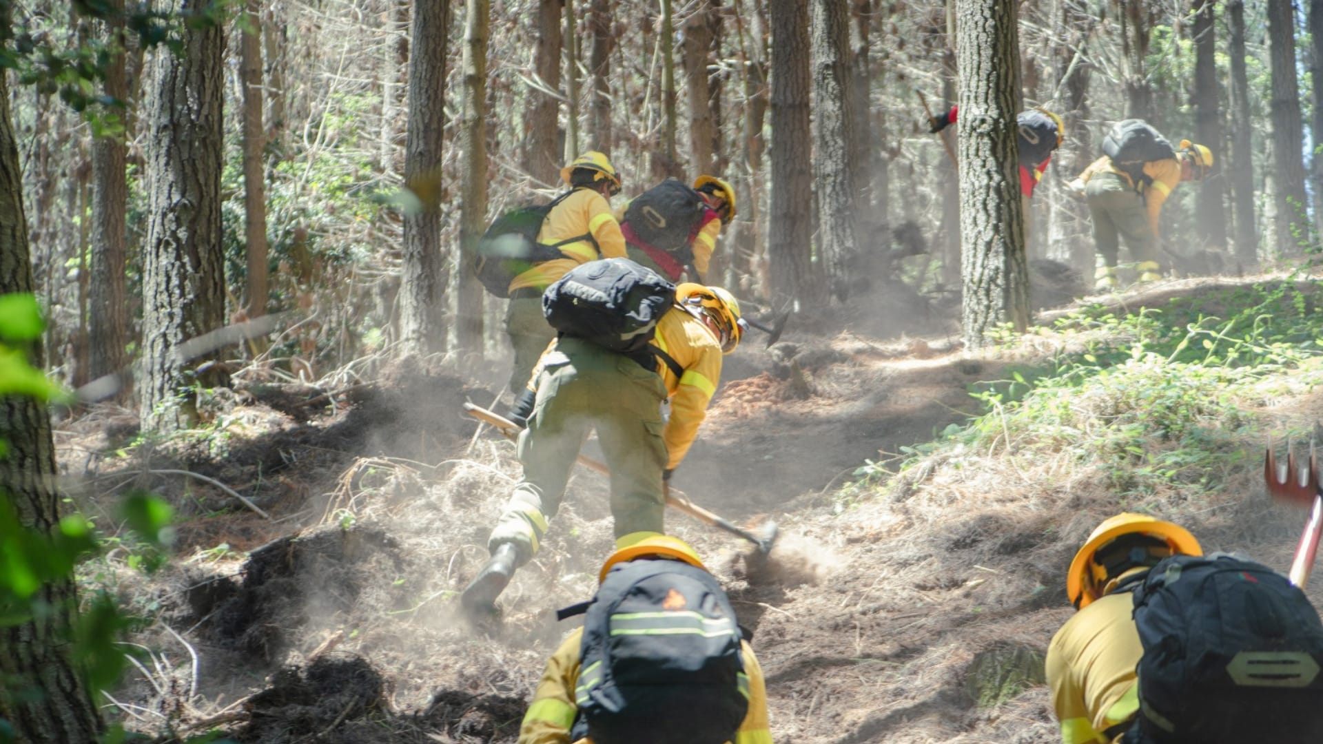 CMPC combate incendios de alta complejidad en 8 comunas de las regiones de Biobío, Ñuble y Araucanía