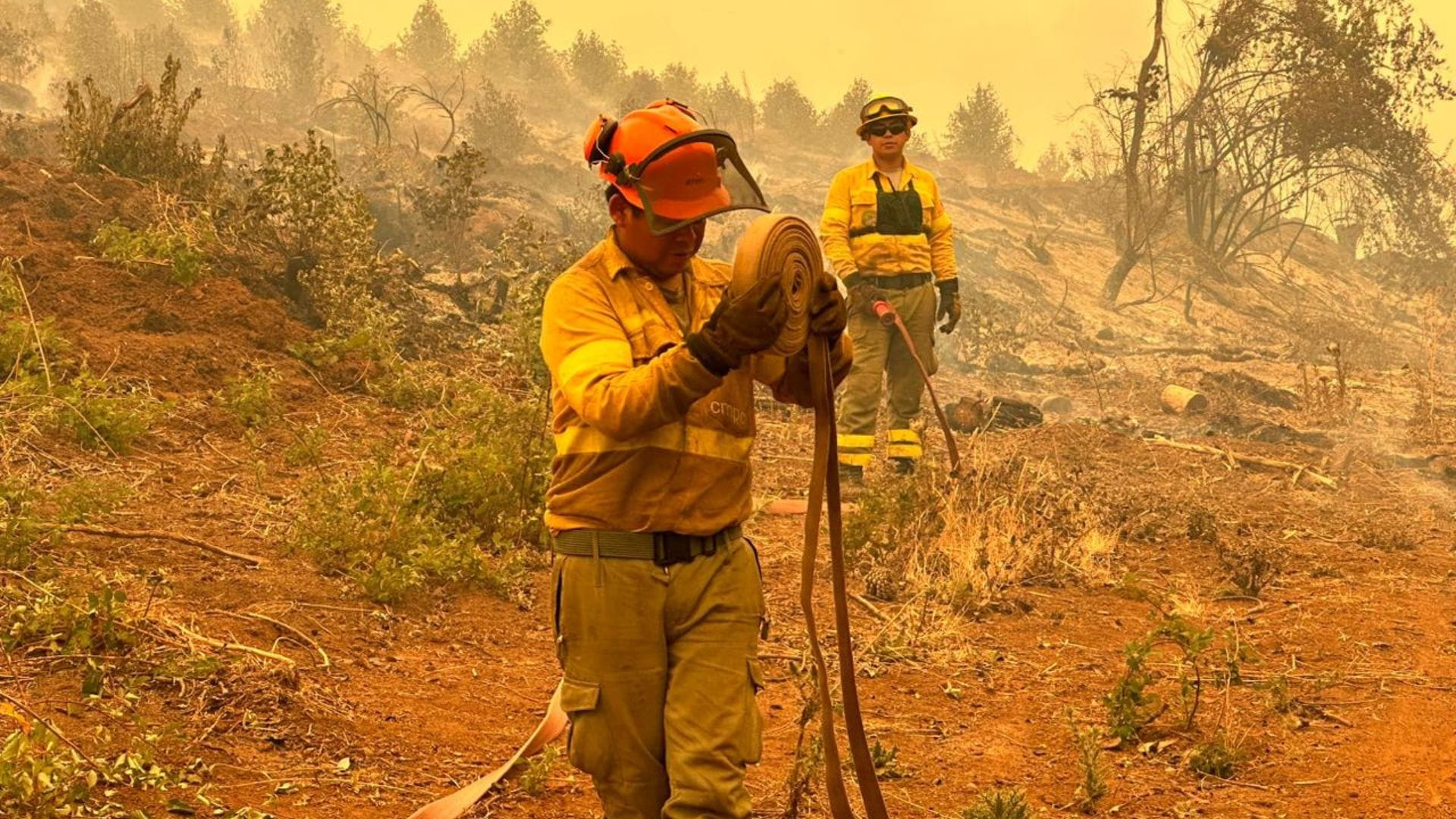 CMPC combatió en cuatro incendios en comunas del Biobío y La Araucanía