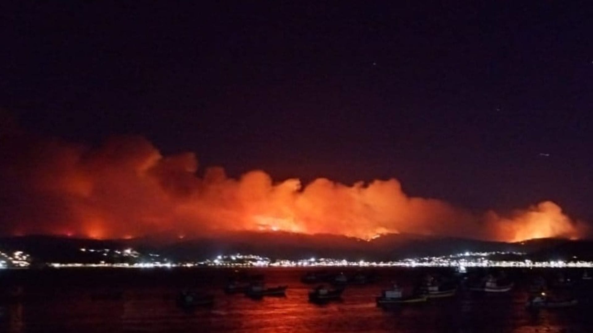 PRUIR: El Plan que advirtió hace 4 años la catástrofe en Incendios Forestales que vive hoy el Biobío