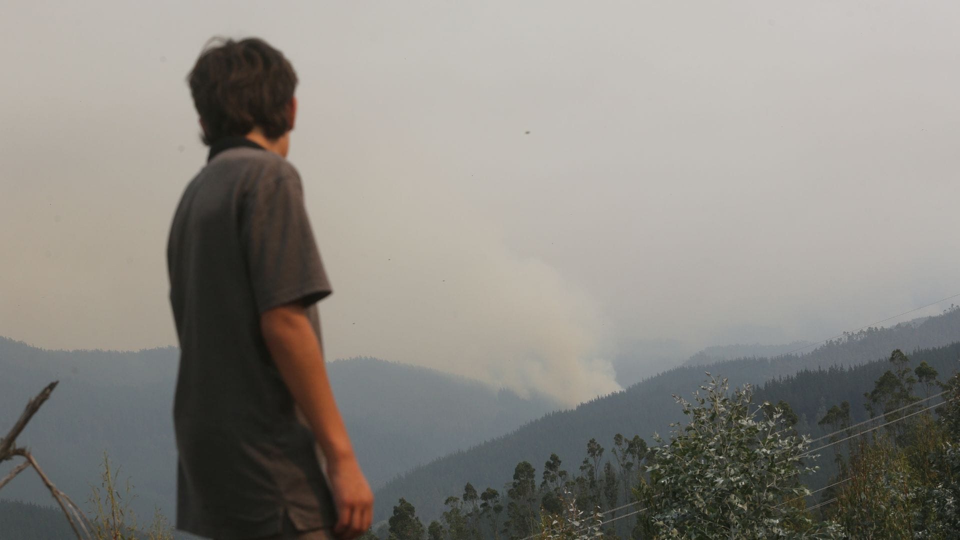 Senapred: Solicitan evacuar Patagual y Los Cruceros ante avance de incendio forestal en Coronel