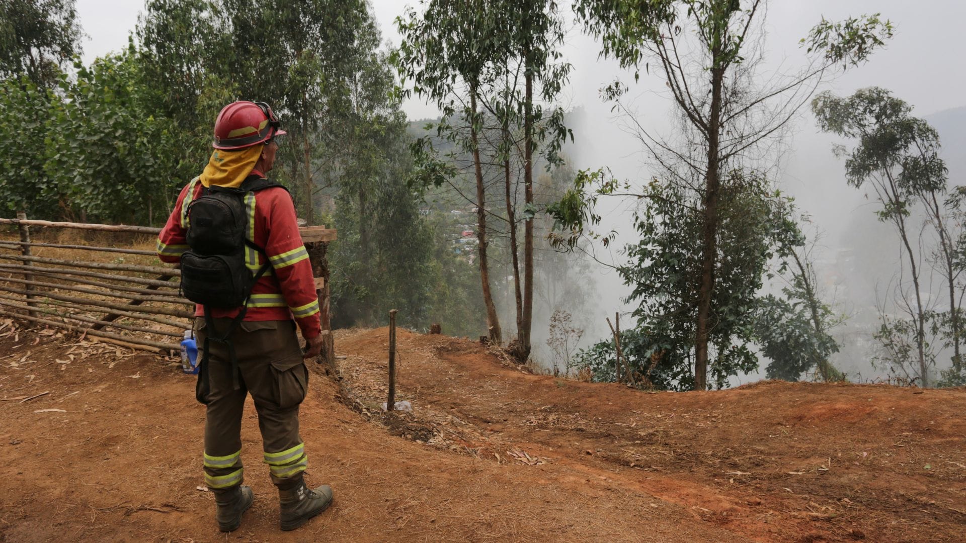 16 focos de incendio aún en combate en el Biobío: Estiman que hay 311 viviendas afectadas