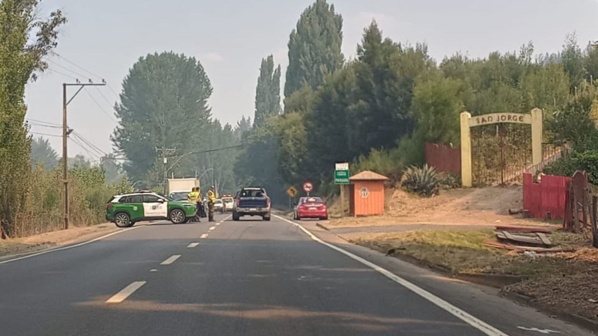 Talan más de 500 árboles para evitar remociones en masas y accidentes en la Ruta de la Madera