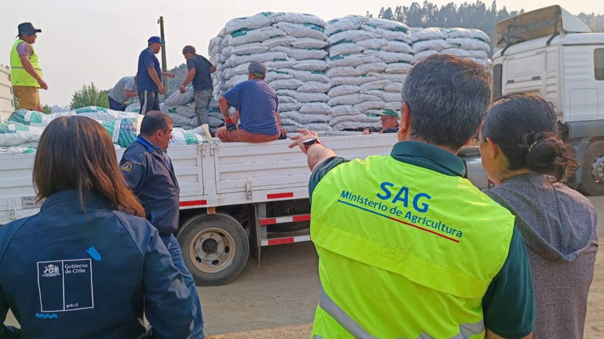 Más de 2 mil agricultores comenzaron a recibir alimento animal para enfrentar emergencia en la región del Biobío 