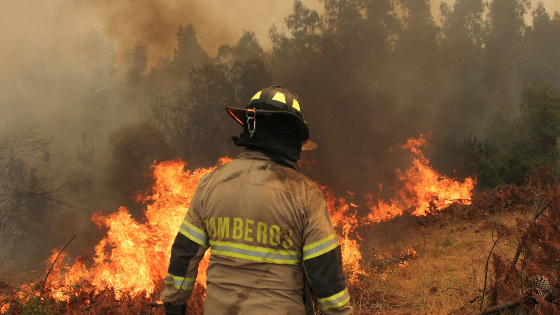 Dos incendios forestales siguen en combate en el Biobío
