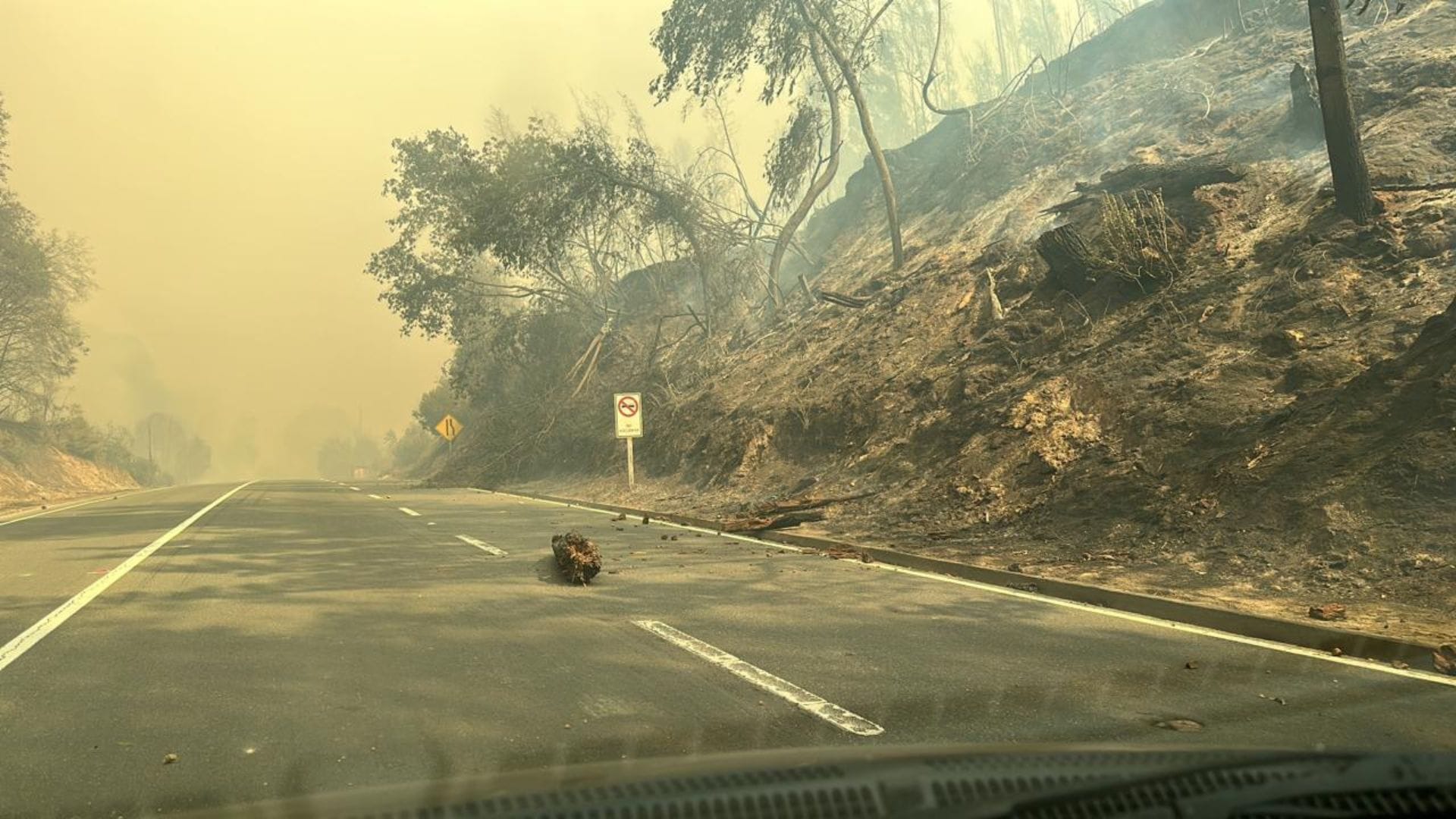 Conoce el estado de las rutas del Biobío afectadas por los incendios forestales