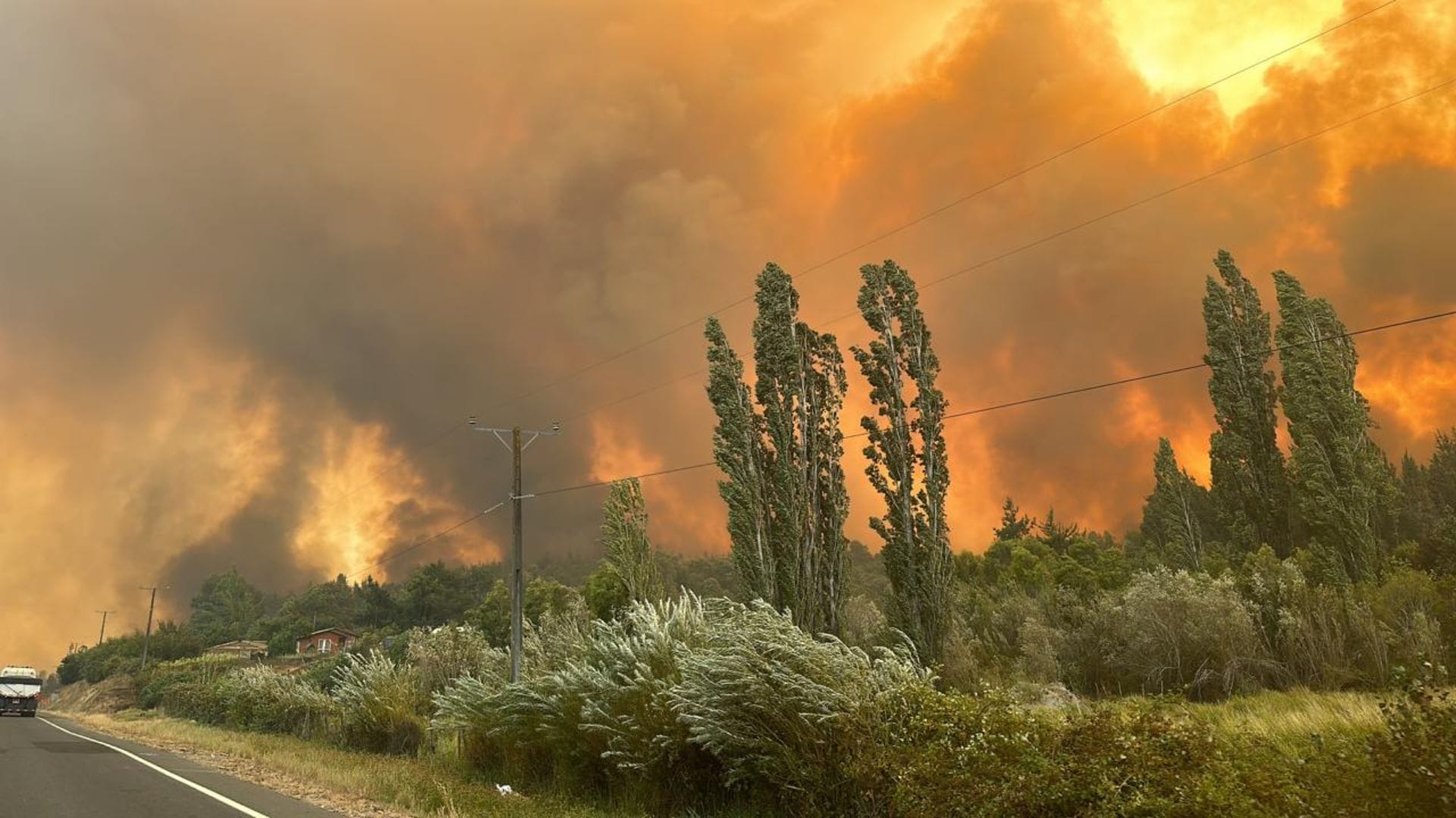 Sociedad Nacional Forestal pide denunciar a personas sospechosas de iniciar incendios