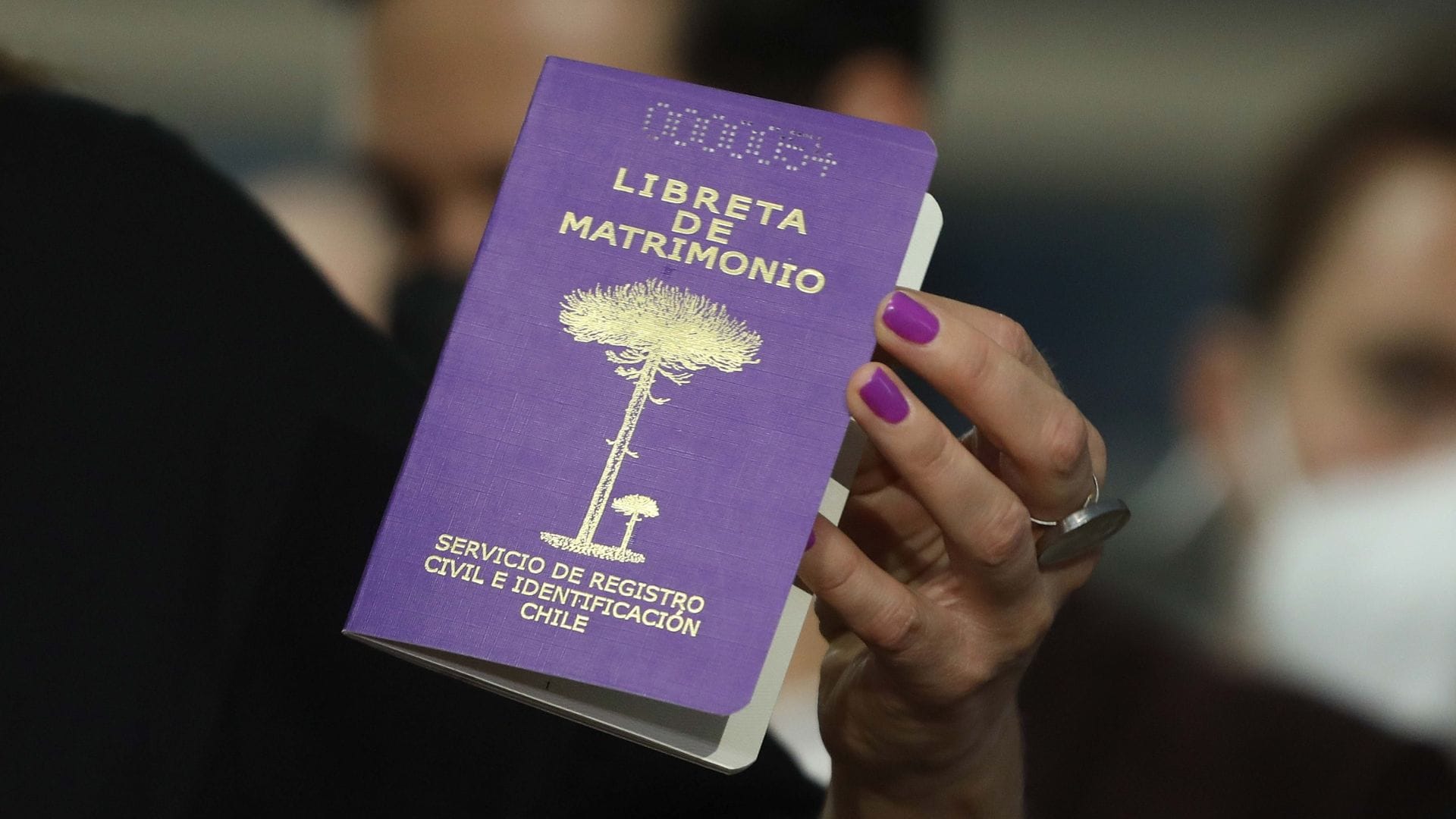“Fue culpa de la monotonía”: Registro Civil reportó la cantidad de divorcios en Chile este 14 de febrero