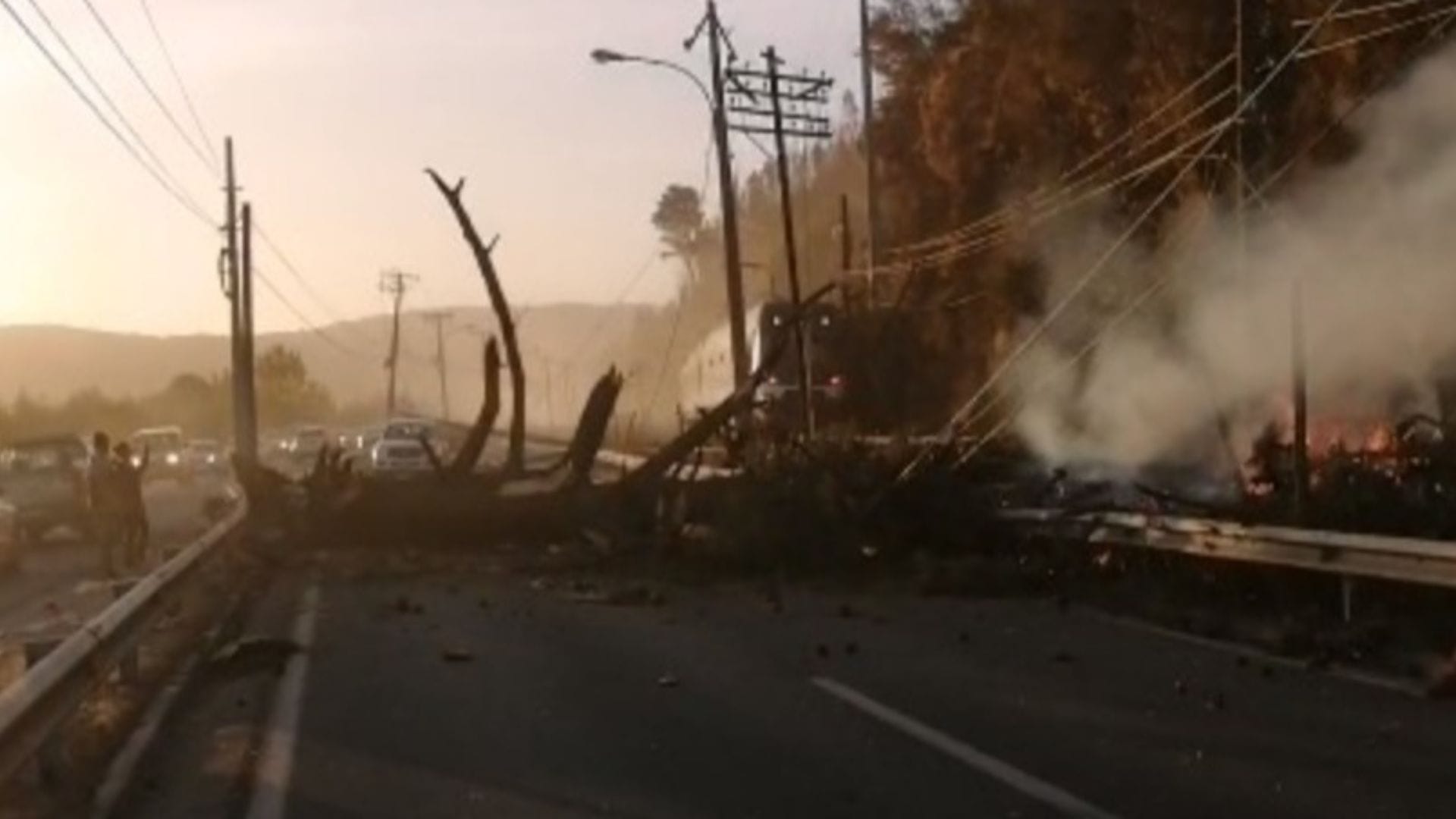 Árbol quemado cae sobre tendido eléctrico entre Chiguayante y Hualqui: Interrumpe tránsito vehicular y ferroviario