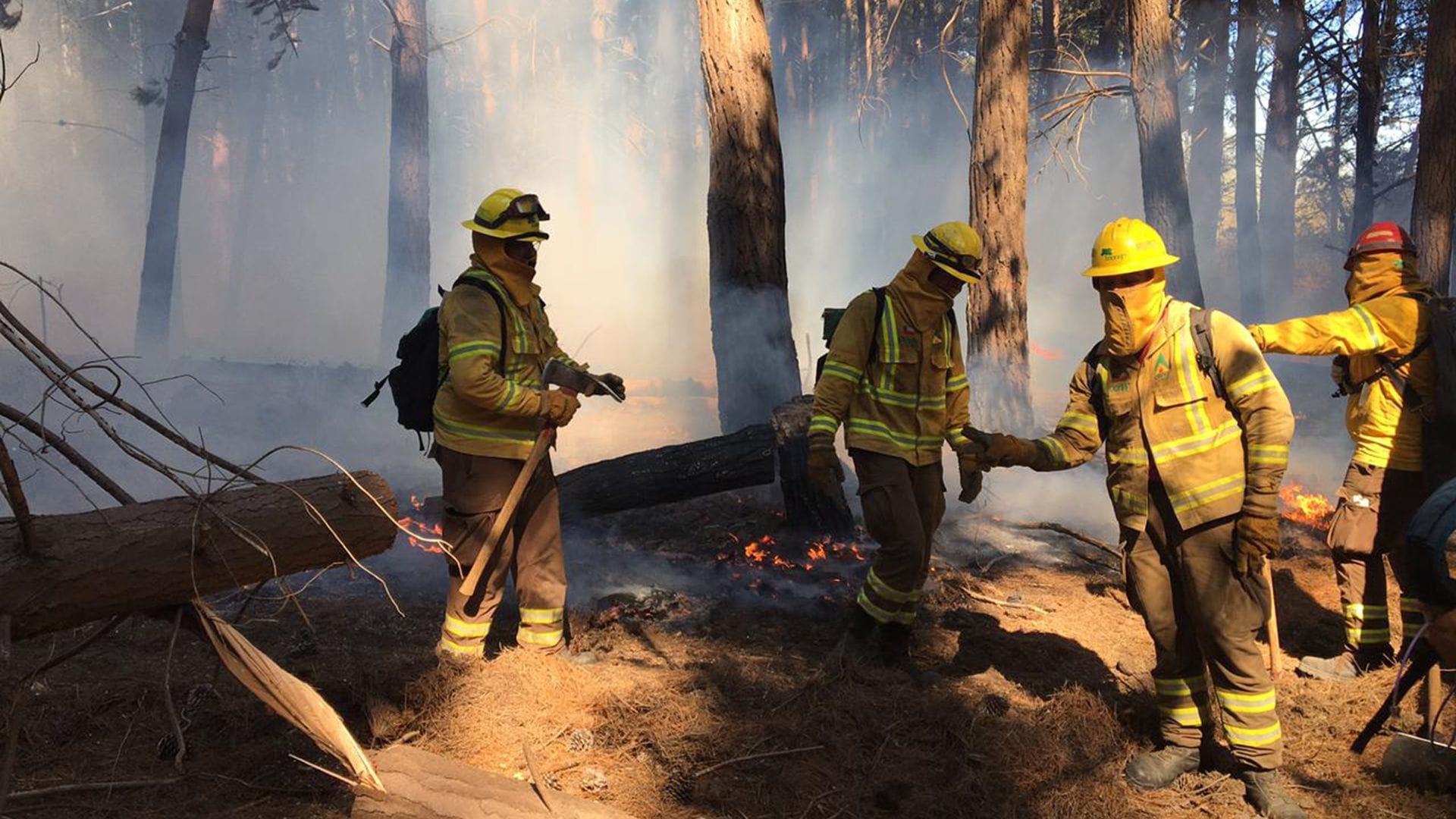 Seis incendios combaten las brigadas y aeronaves de CMPC en el Maule y La Araucanía