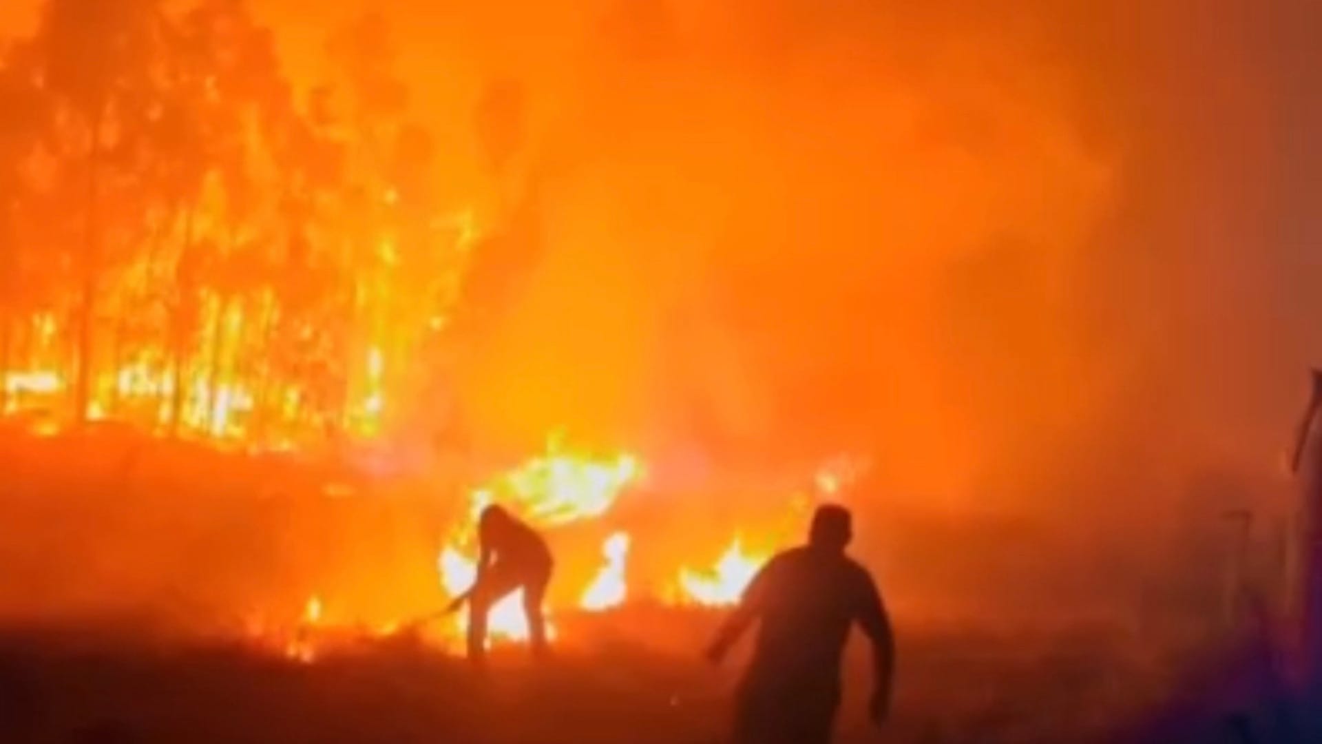 Decretan Alerta Roja para Chillán por incendio forestal: Llaman a evacuar sector de Jerusalén