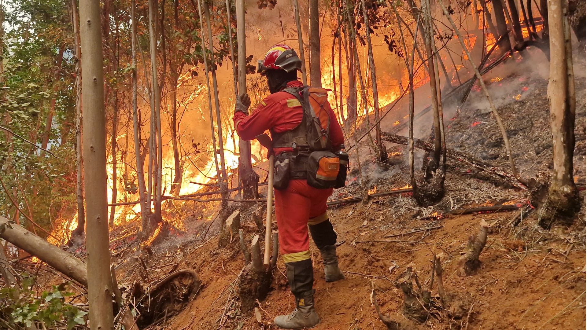 Ministro Montes llama a tener prudencia frente a presunción de incendios intencionales en Coronel