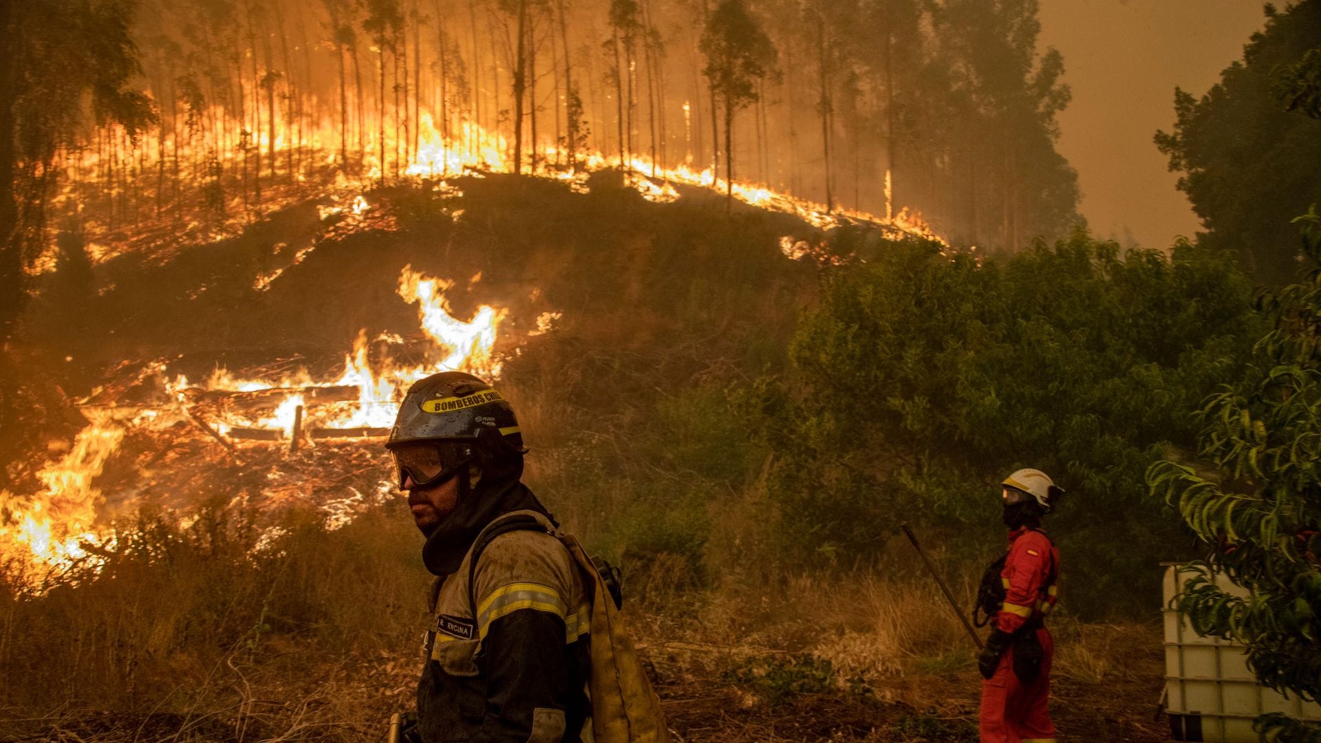 Presentan acciones judiciales por falta de servicio en el combate de los incendios forestales
