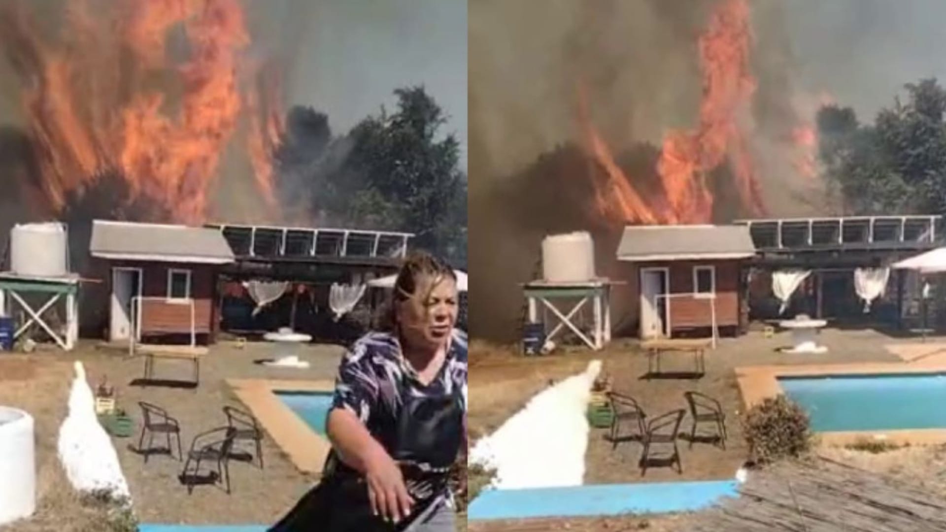 Declaran Alerta Roja en Arauco por incendio forestal: Llaman a evacuar sector Los Laureles