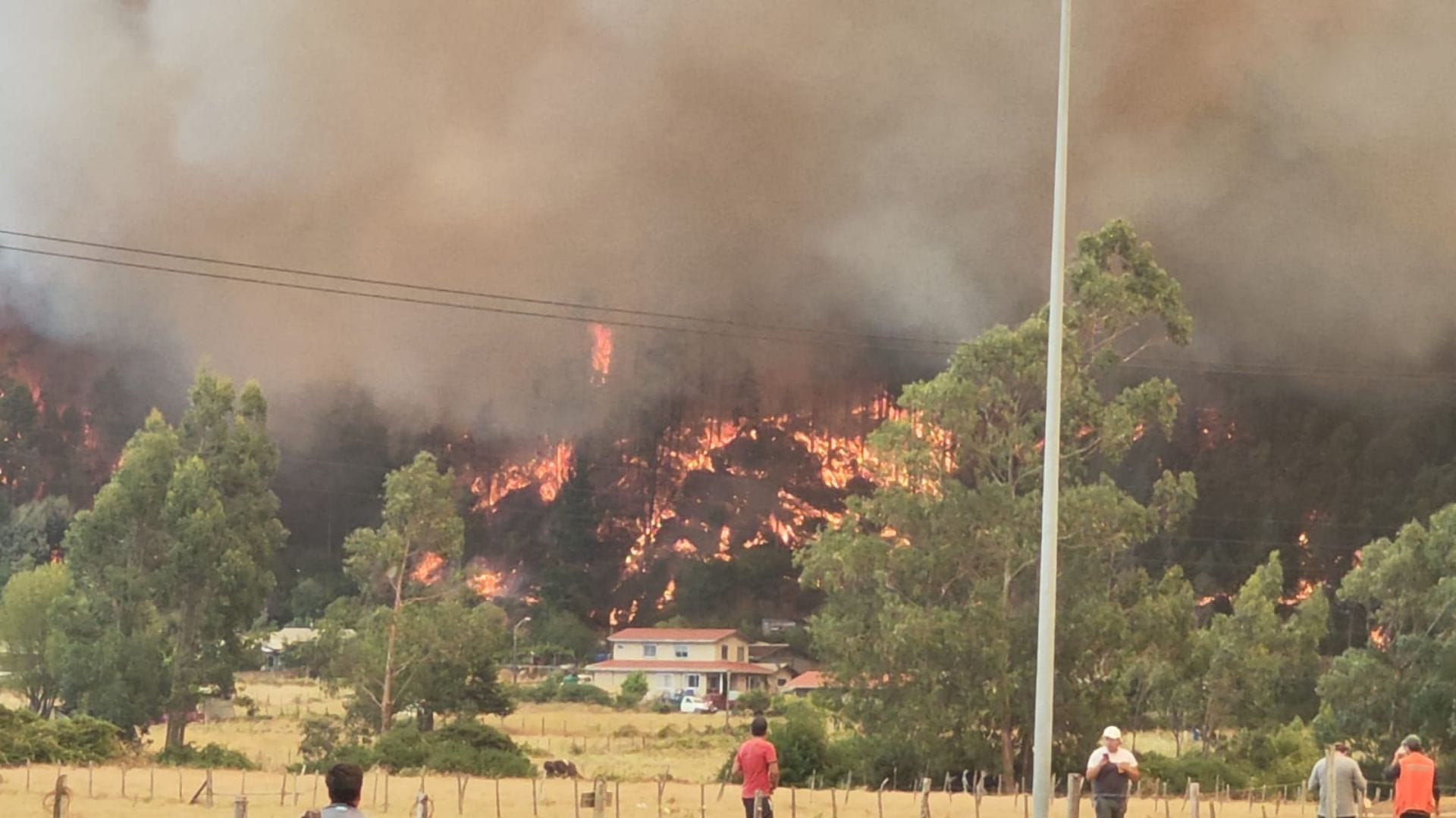 Incendio forestal en Arauco: Focos de fuego amenazan a viviendas en Llico