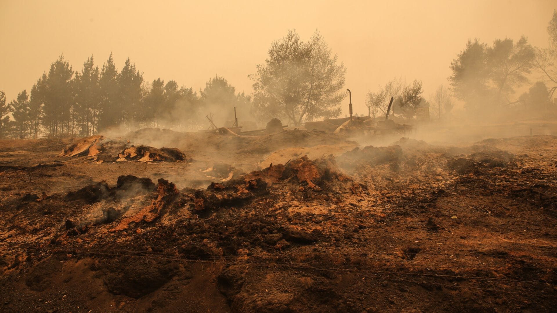 Alrededor de 100 casas destruidas y 3 fallecidos deja incendio en Nacimiento