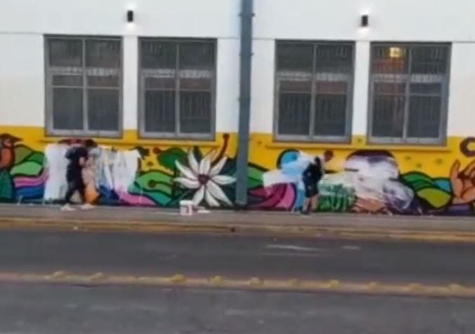 “Legión Zorro”: Jóvenes “patriotas” se adjudican y graban vandalizando mural en Concepción