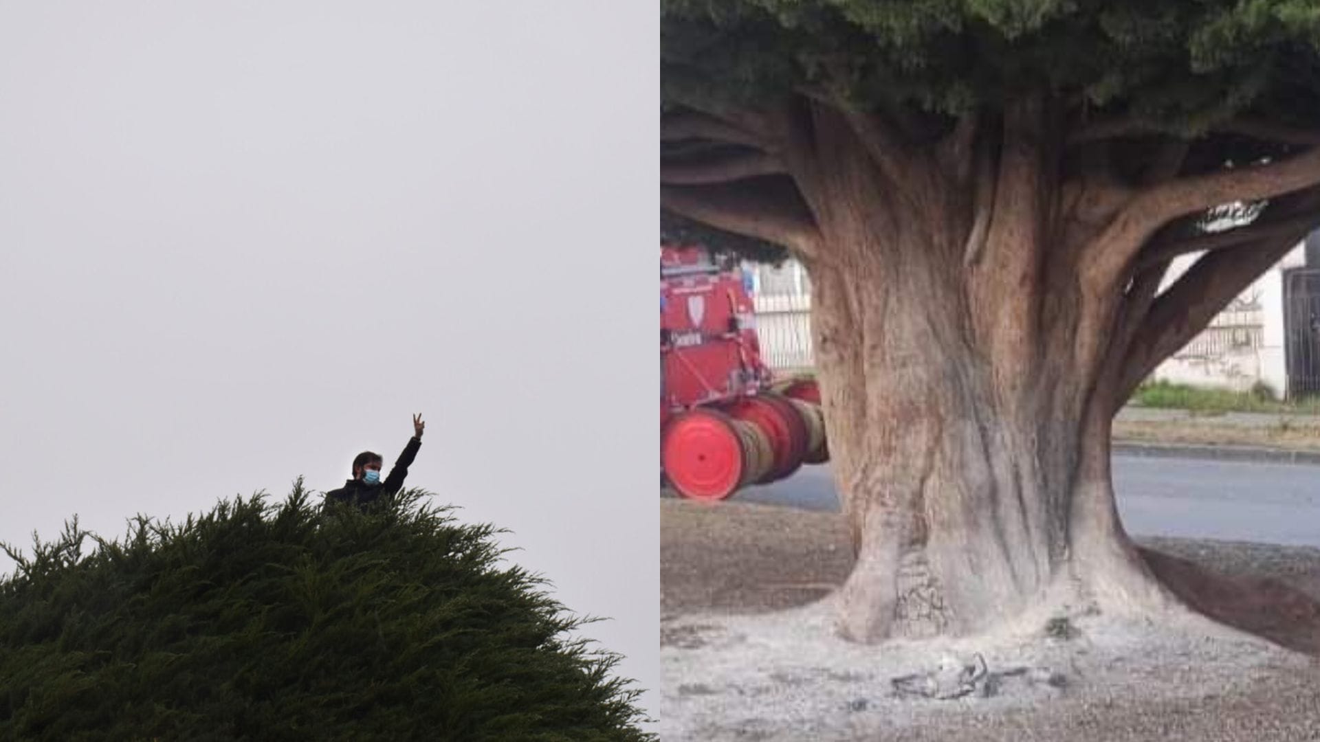 Desconocidos trataron de quemar el árbol de campaña de Gabriel Boric: Vecinos lo salvaron