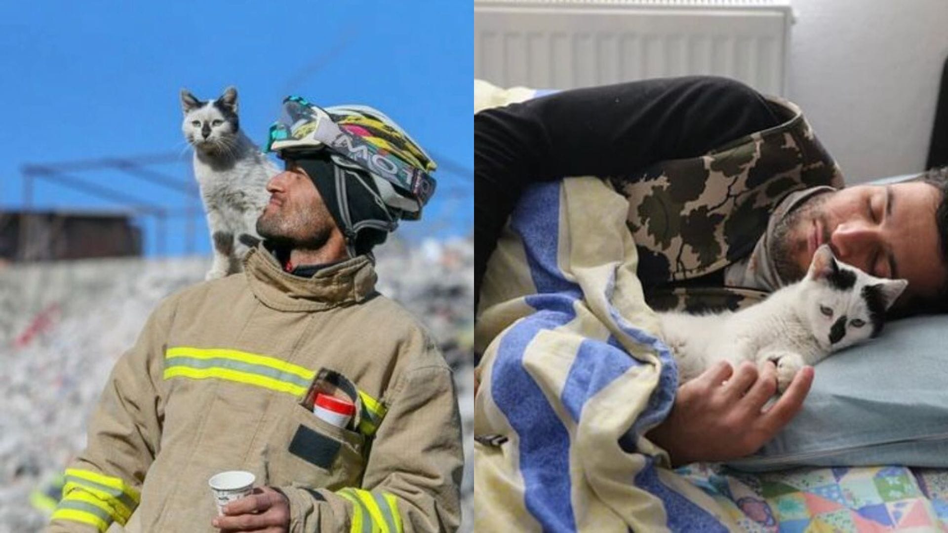 Su historia ha conmovido: Bombero turco rescató a gato de los escombros y se han vuelto inseparables