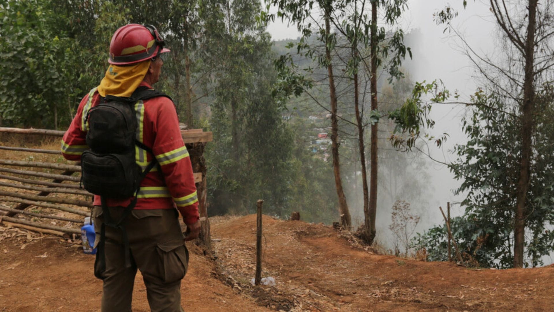 Brigadista murió mientras combatía incendio en La Araucanía: Ocurrió tras caída de árbol