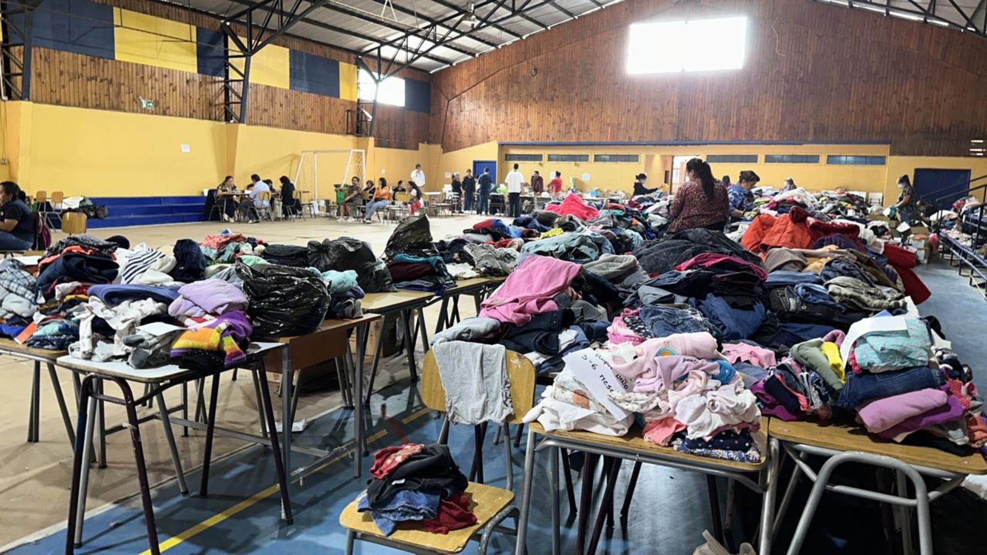 Piden no enviar más ropa a centros de acopio en Tomé: Se necesita alimento para animales