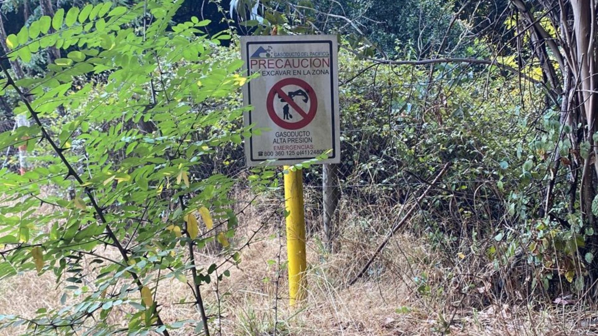 Preocupación ante riesgo de llegada de incendio a gasoducto en Ruta de la Madera: Energía llama a la calma