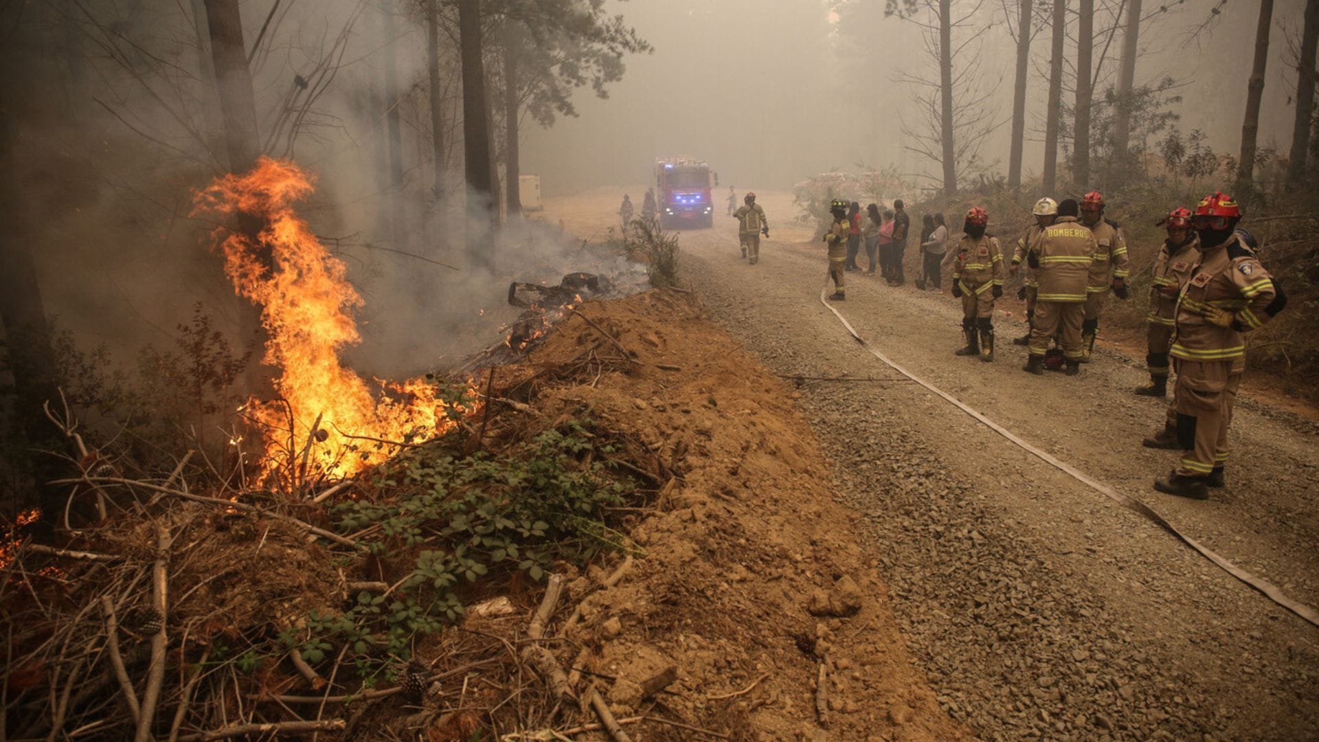 Formalizan a contratista y a funcionario de Coelcha por incendios forestales de Nacimiento en 2023
